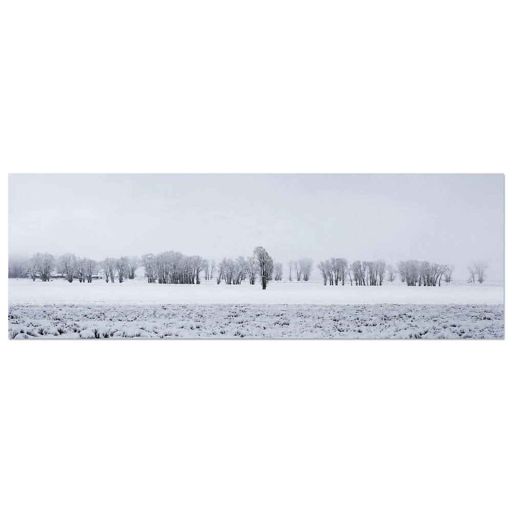 Wyoming Snowy Field by Robert Moss – Fine Art Photography Print