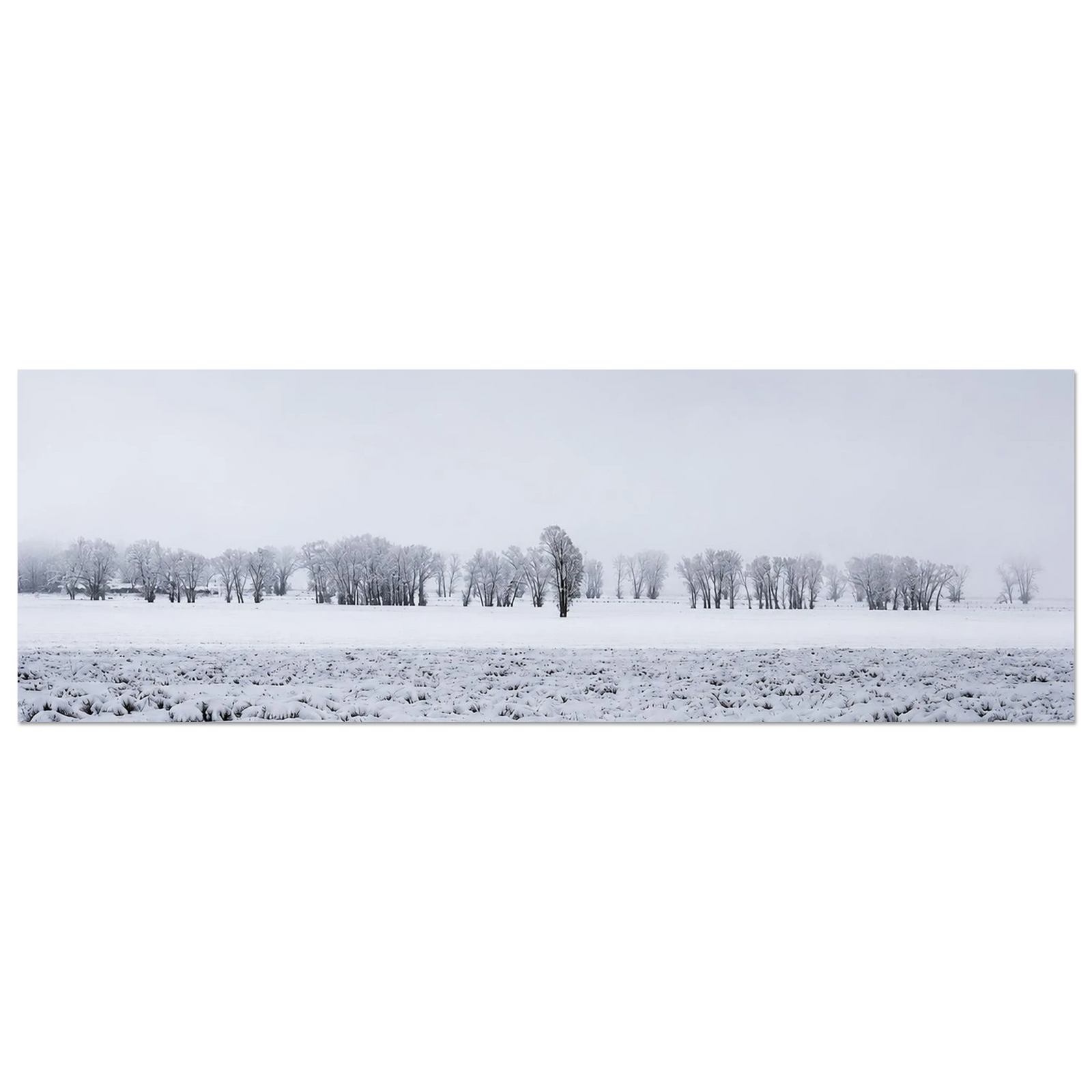 Wyoming Snowy Field by Robert Moss – Fine Art Photography Print