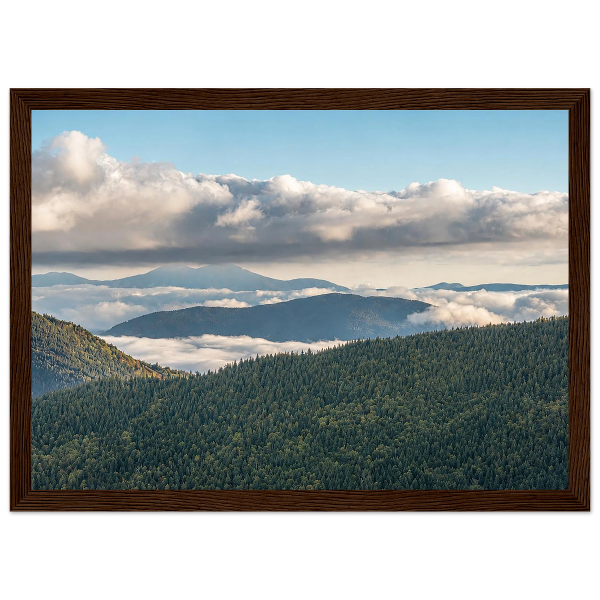 Vermont Mountain Morning by Robert Moss – Fine Art Photography Print