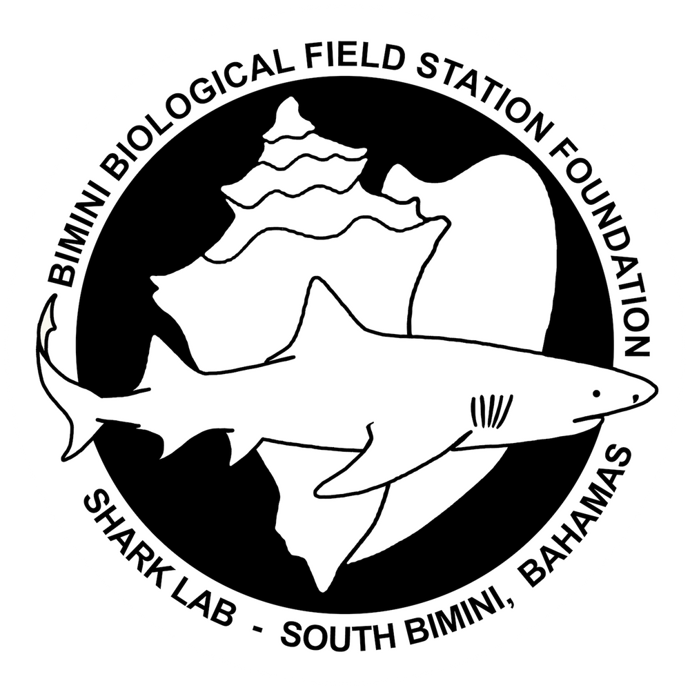 Bimini Shark Labs T-Shirts