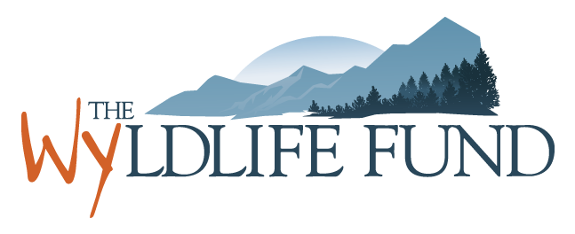 "The WYldlife Fund" Long Sleeve Shirts