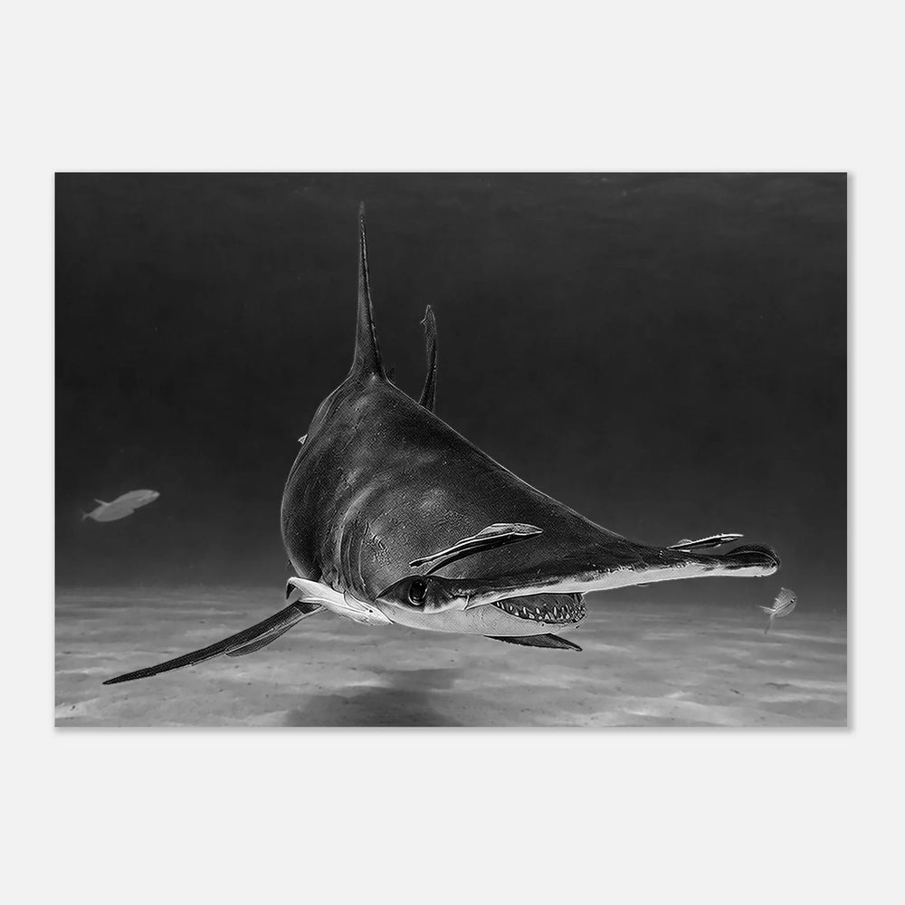 Ocean Photography