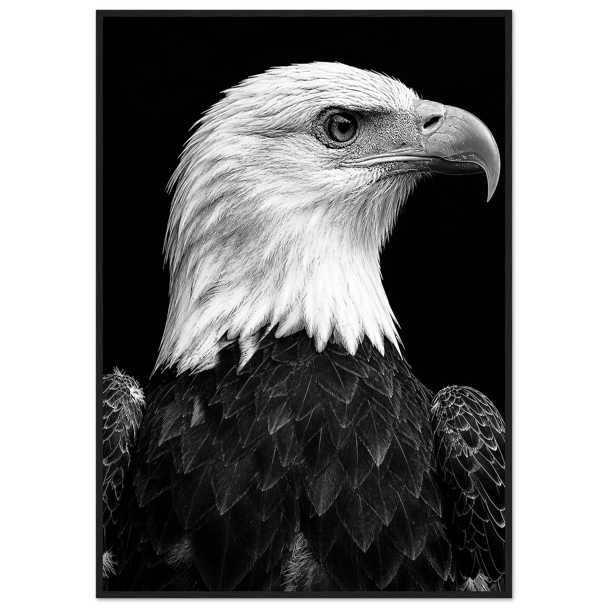Bald Eagle Framed Poster – Grand Tetons Wildlife Photography by Robert Moss – Fine Art Photography Print