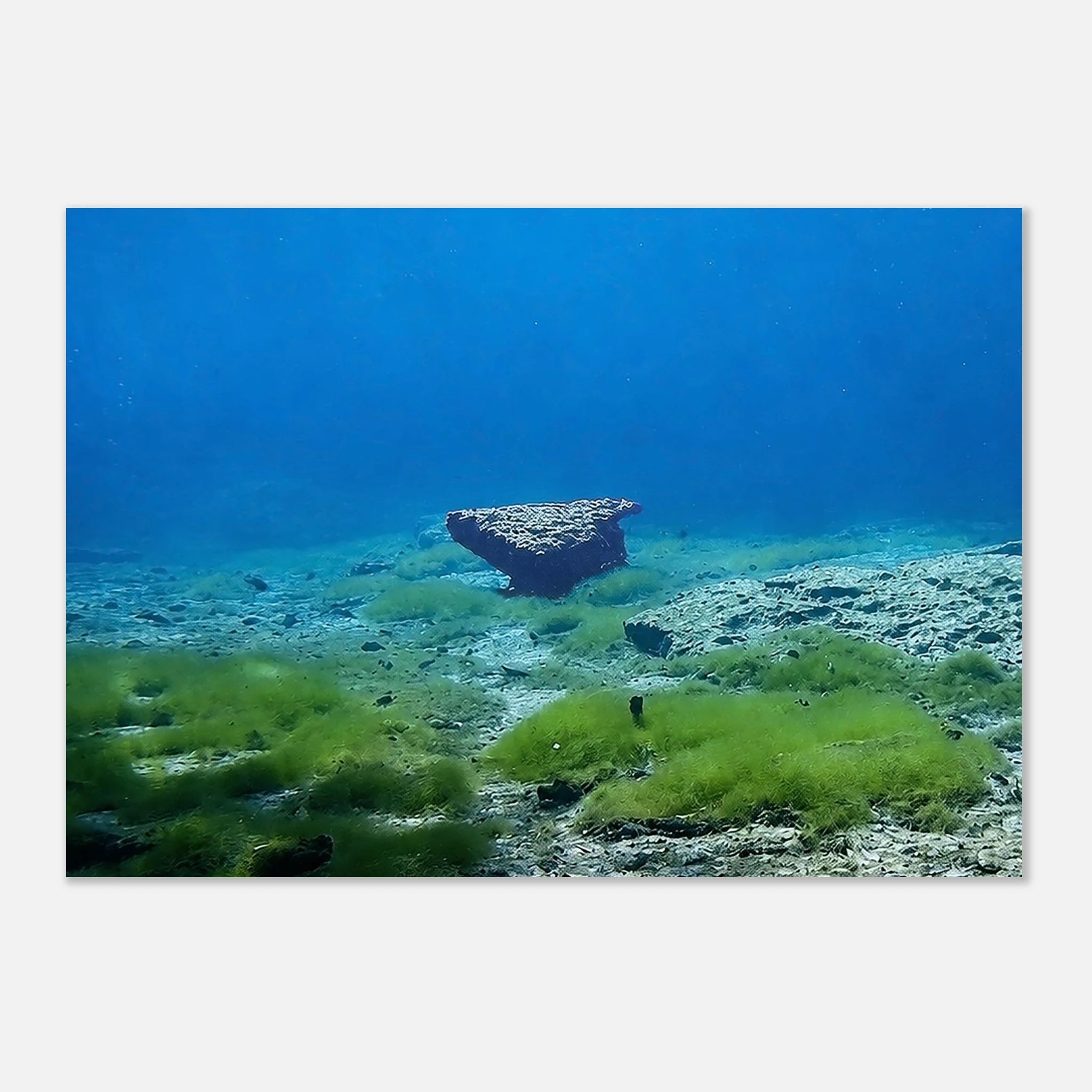 Underwater Meadow and a Sleeping Stone by Robert Moss – Fine Art Photography Print