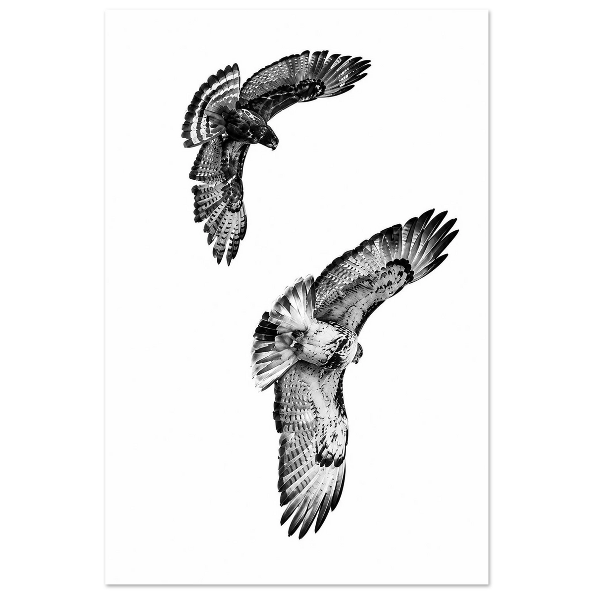 0dd215ea-ab22-4cd5-9a09-82ce4893fae1