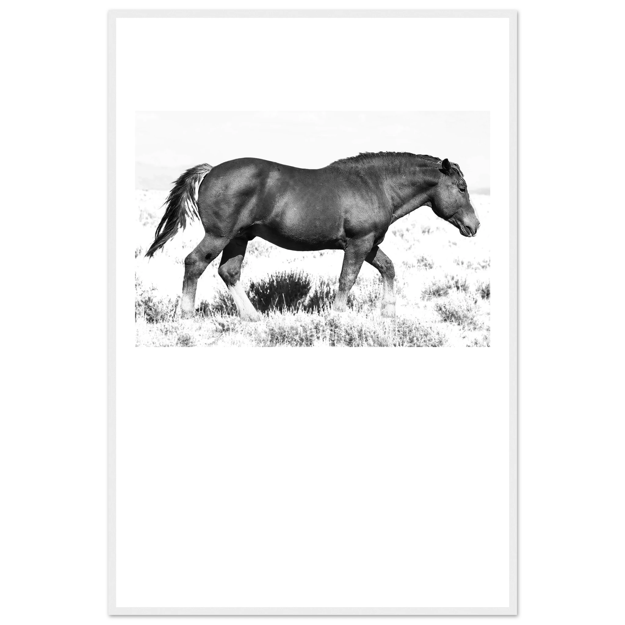 16392bdd-a545-4a84-be67-31af3051fb9b