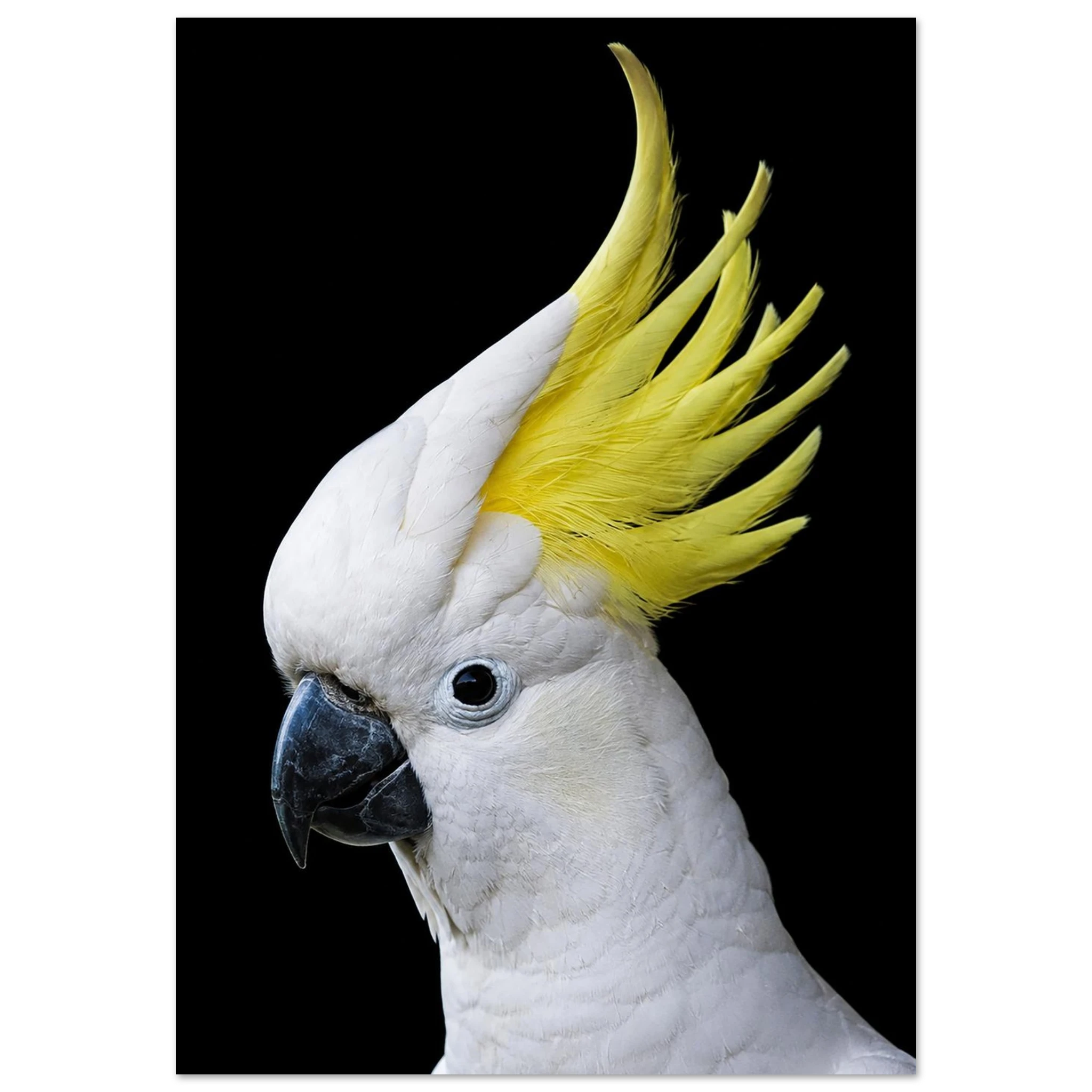 330e4579-64fa-43b5-b8d6-d56818d7bd60