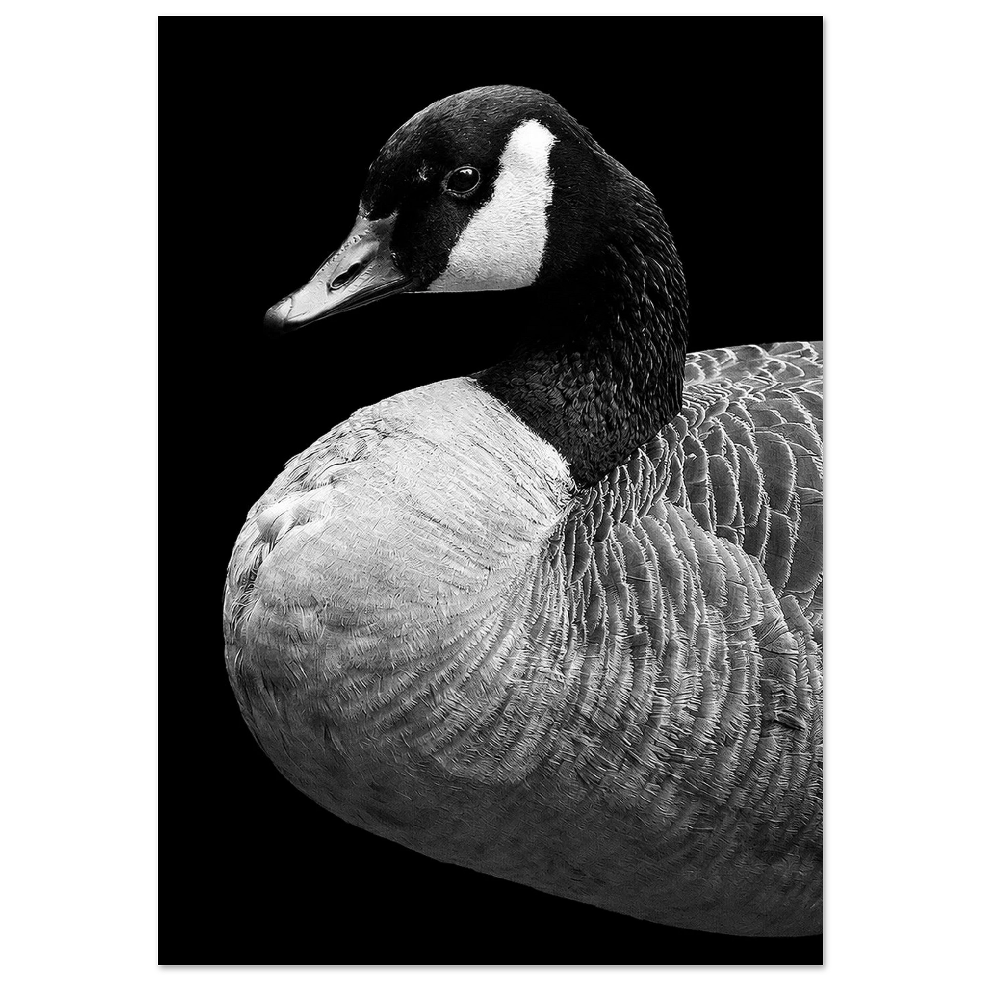 34e73927-8744-47b3-a1e5-0c711a79f2f0