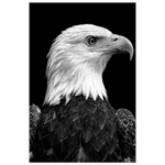 350543cd-d3a0-46b7-9b81-ed86916d4fe7