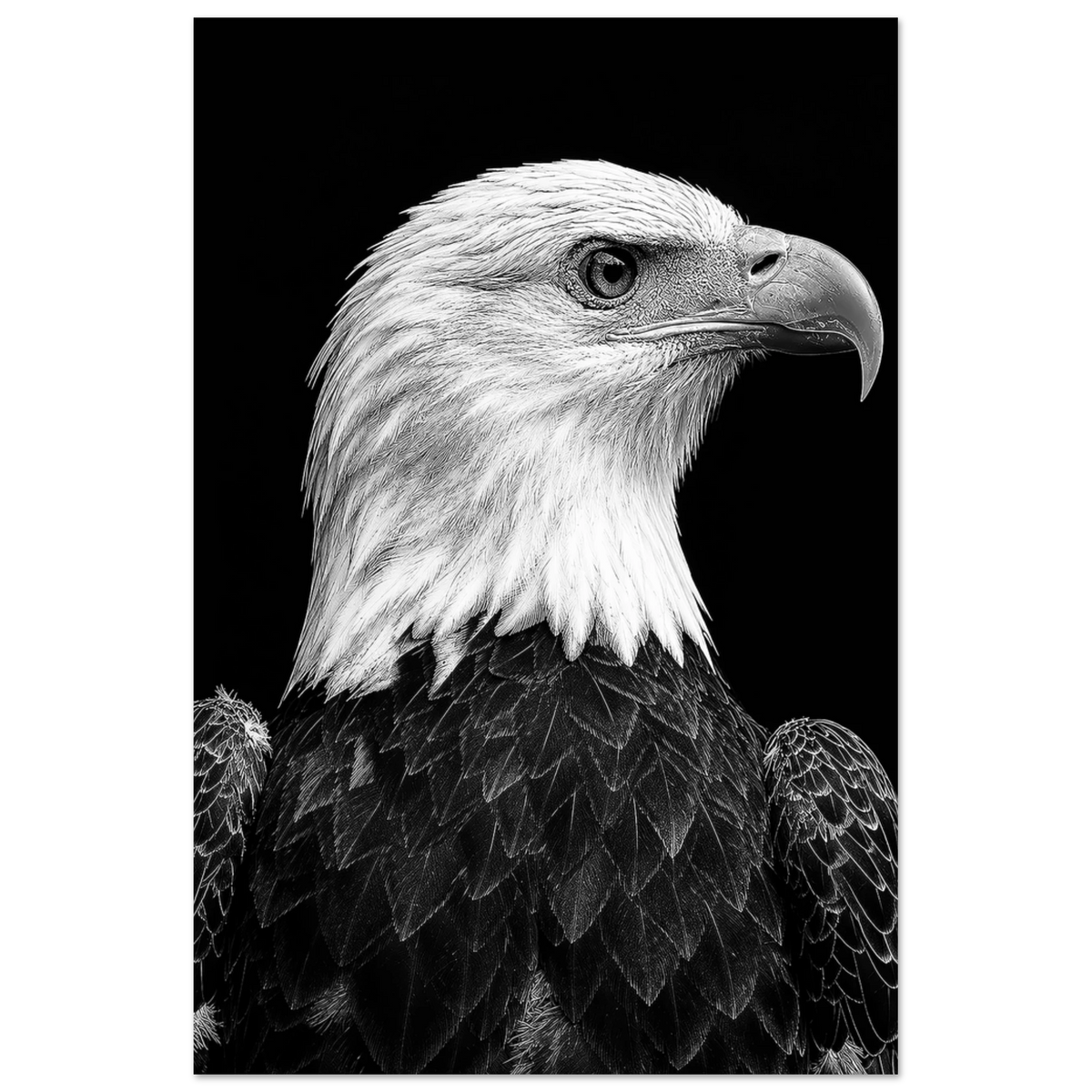 350543cd-d3a0-46b7-9b81-ed86916d4fe7