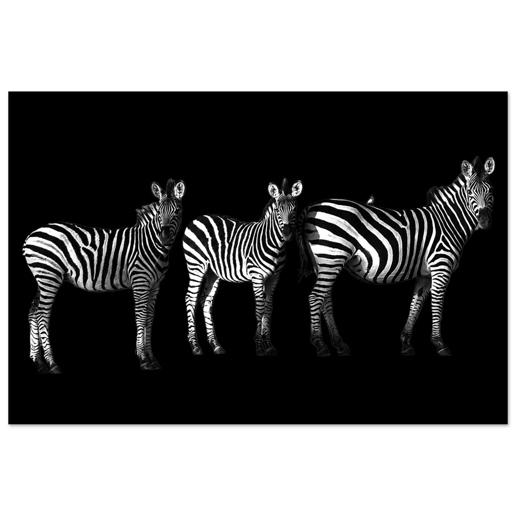 46d92bc9-2e98-444e-9787-42793c117589