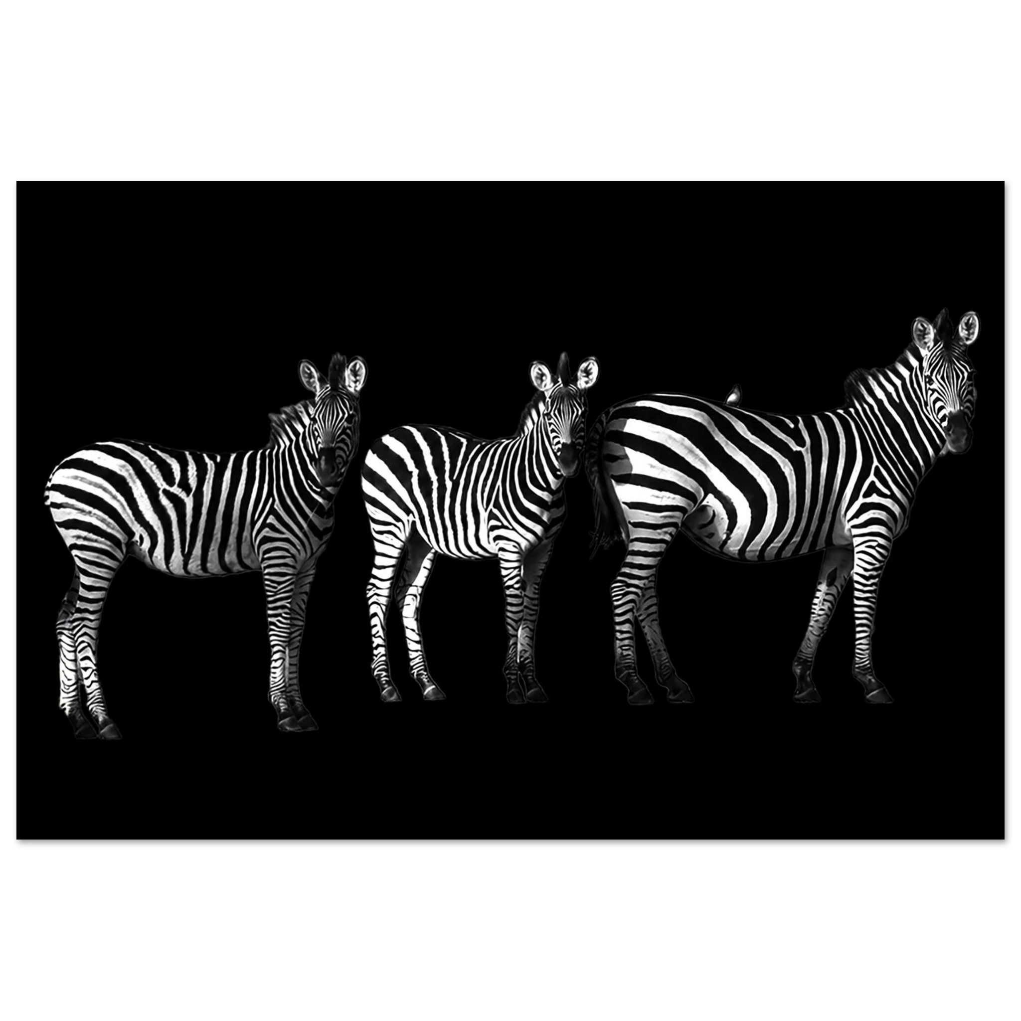 46d92bc9-2e98-444e-9787-42793c117589