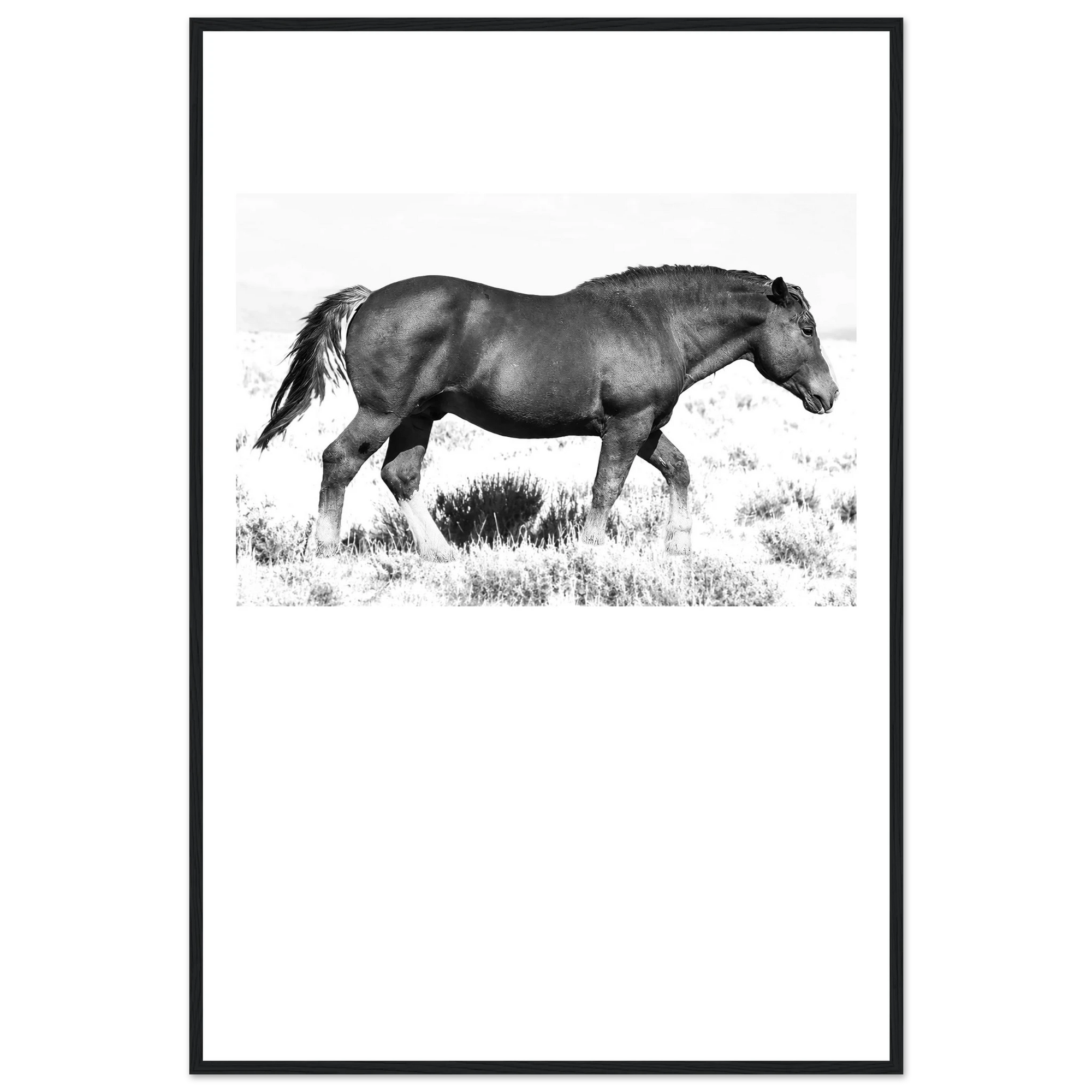474fa608-f82d-489f-9655-4cf67bdbde9e