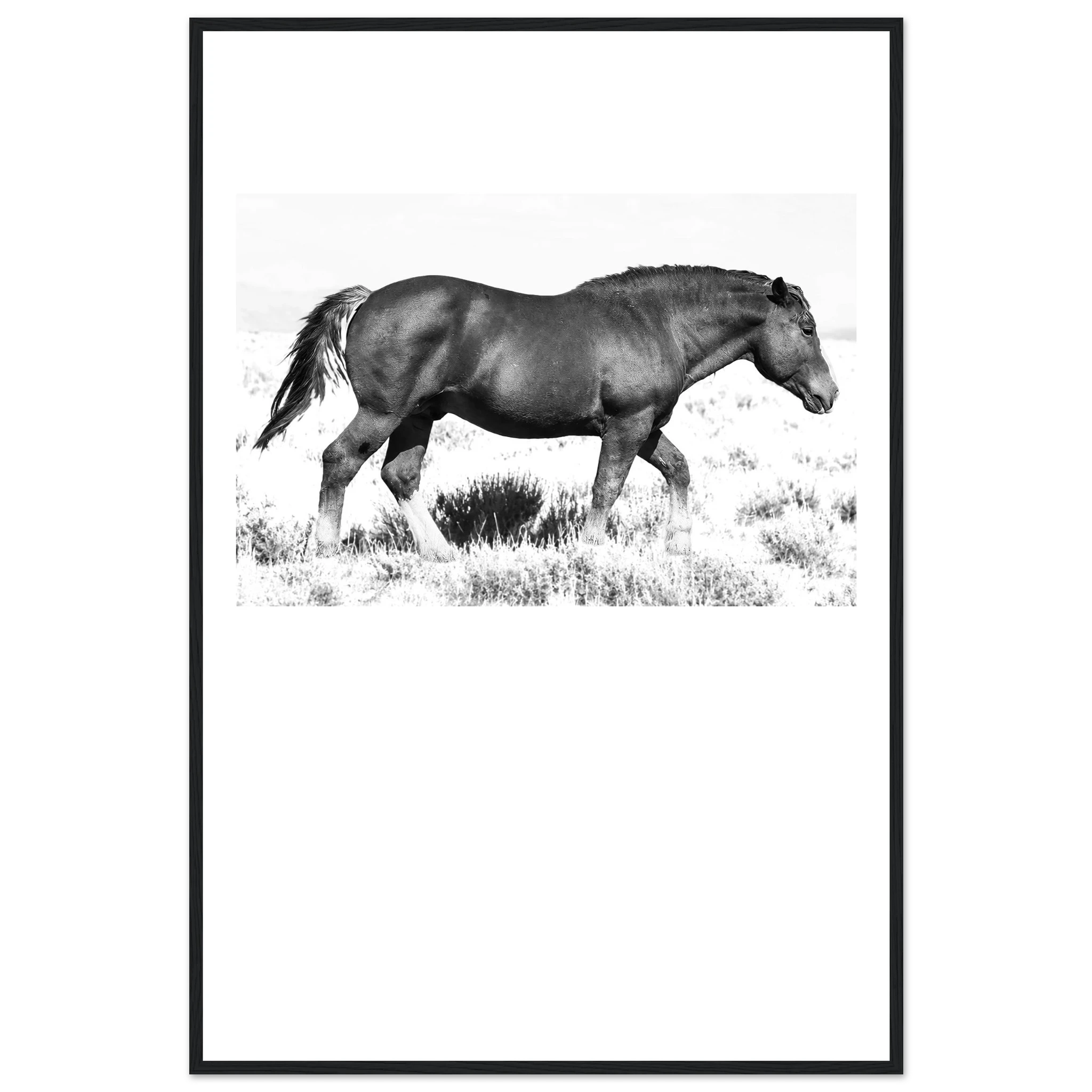 474fa608-f82d-489f-9655-4cf67bdbde9e