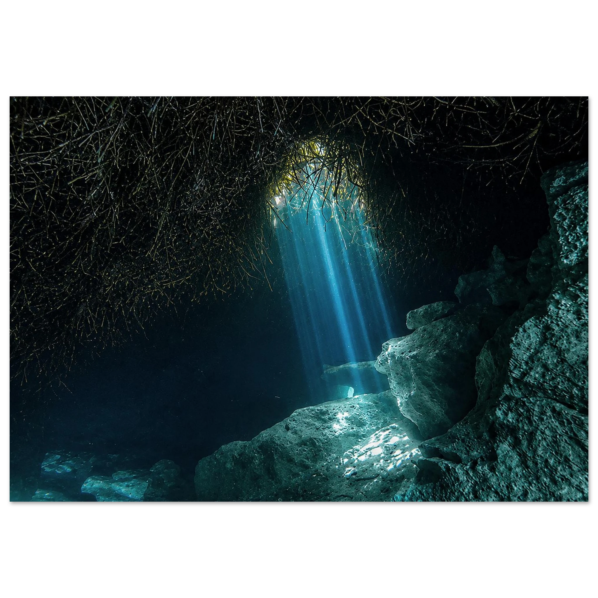 Under the Mangroves with Beams of Light by Robert Moss – Fine Art Photography Print