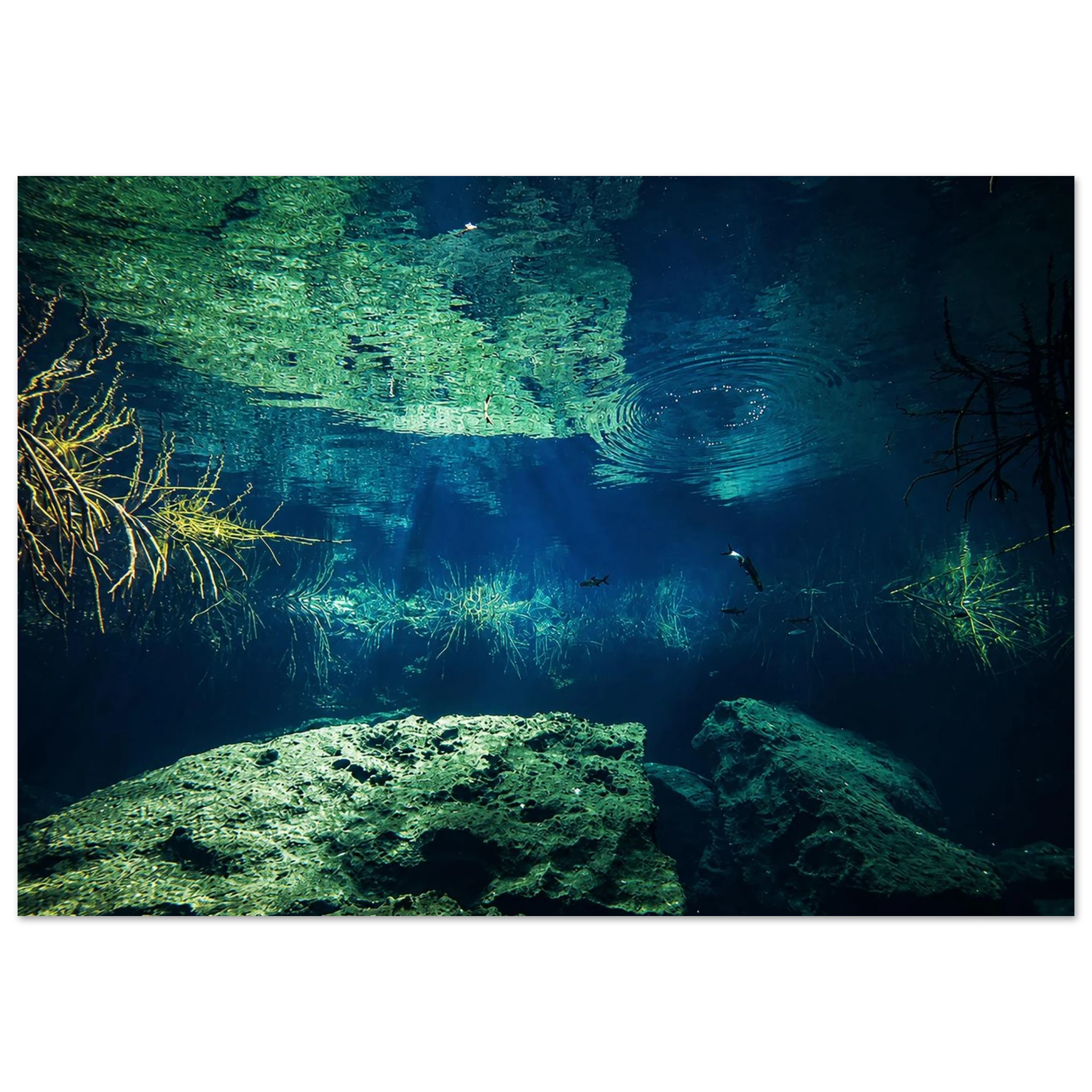 Water Ripples Aluminum Wall Art by Robert Moss – Fine Art Photography Print