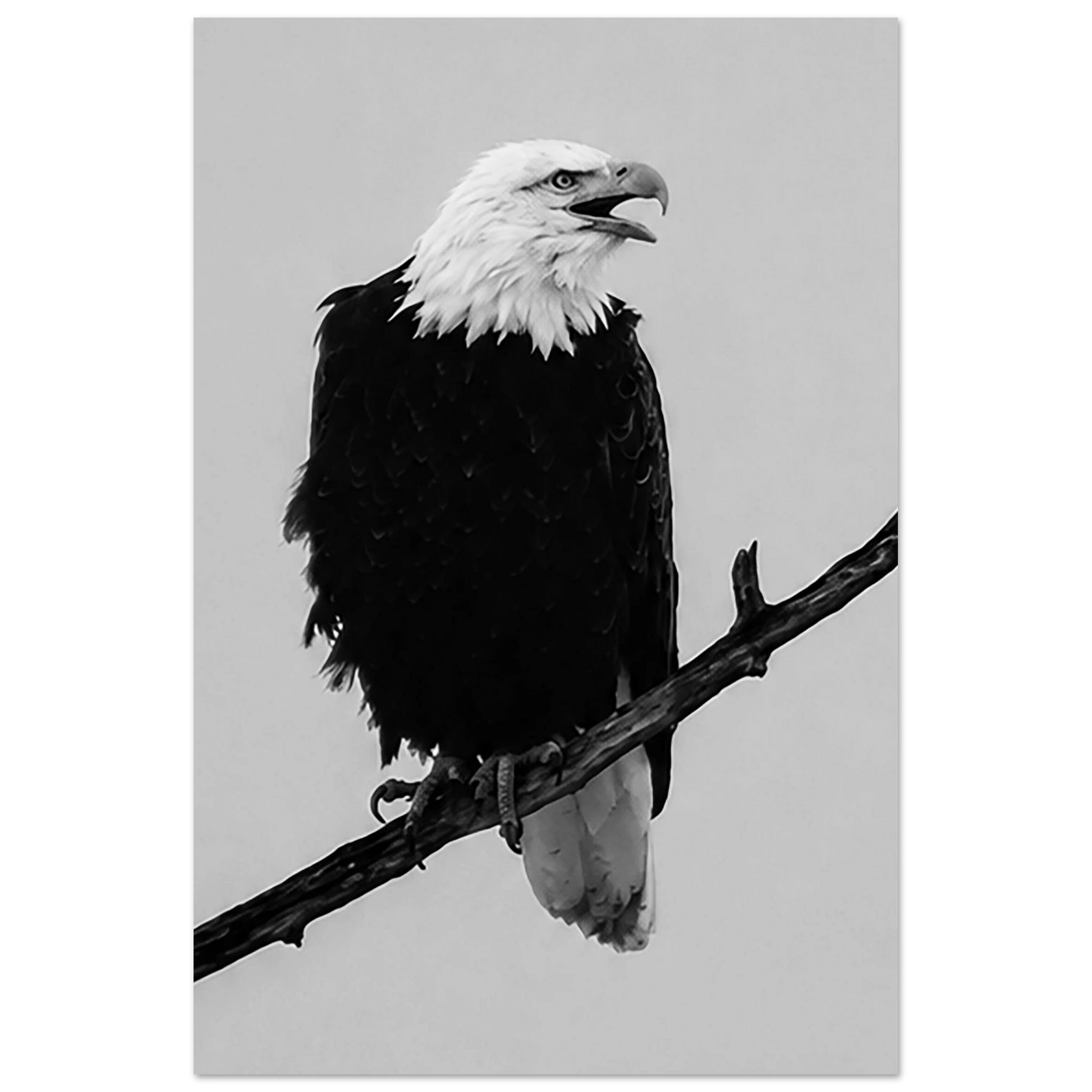 4ccdb0b2-656c-4941-ac78-70b01f1a77e1