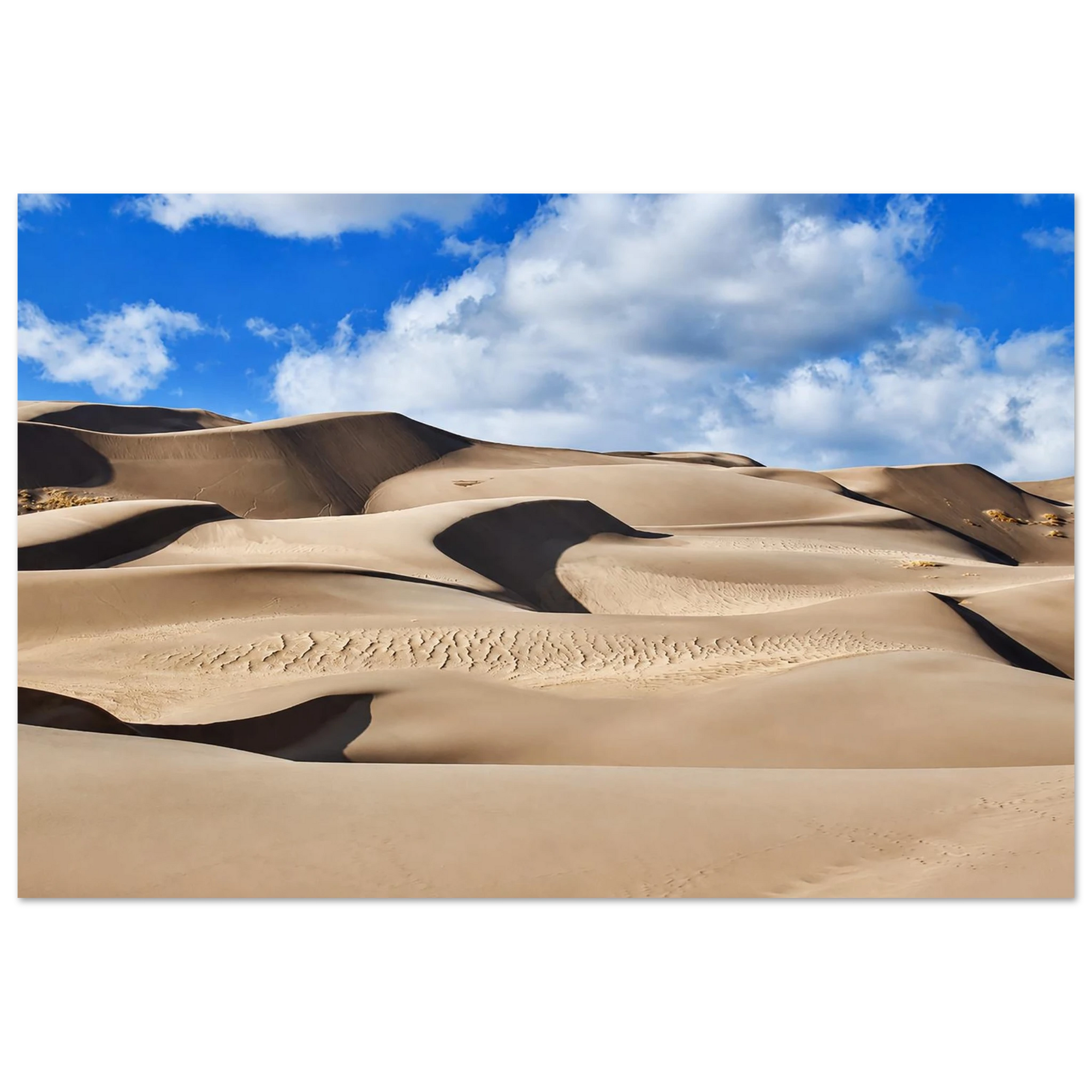 50ce3fce-07ee-404f-b943-435d638671ab