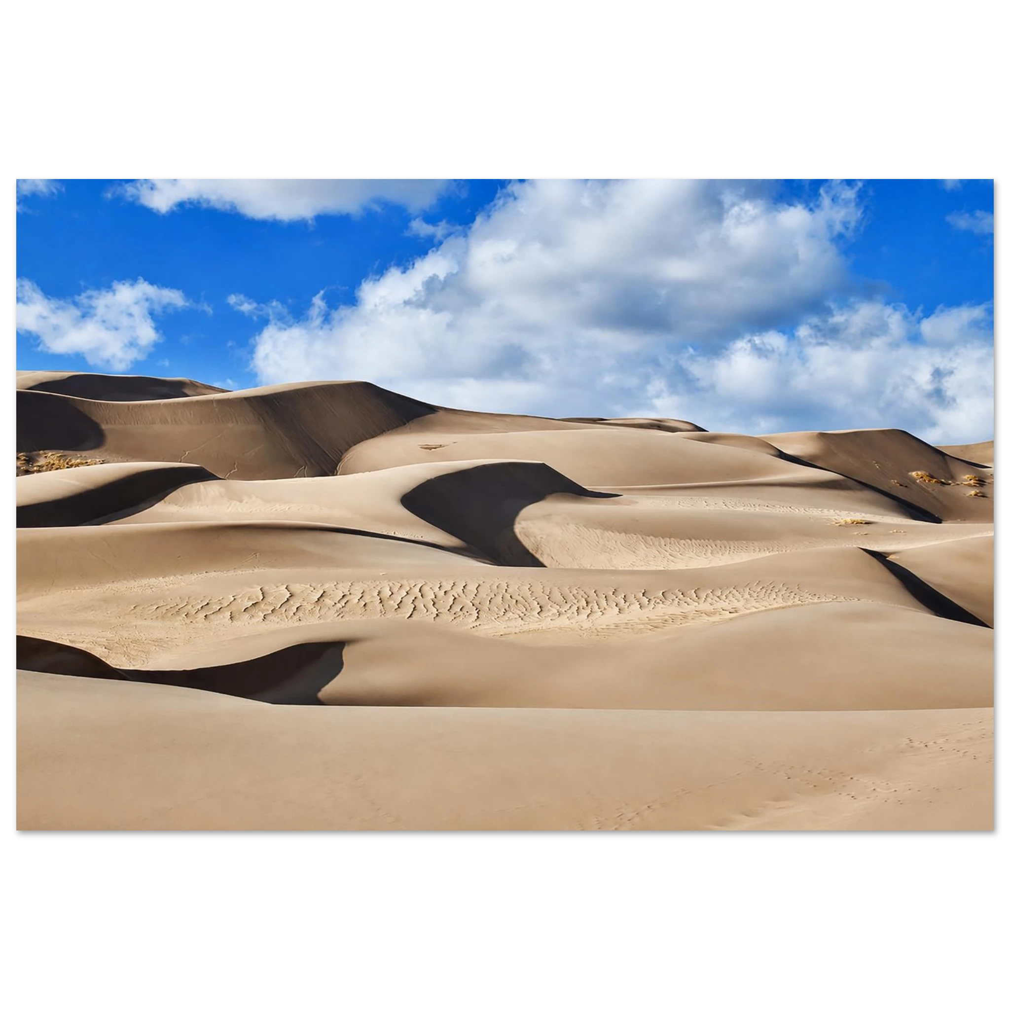 50ce3fce-07ee-404f-b943-435d638671ab