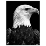 58fa239f-740a-4e9c-a9ac-10be9d56aeda