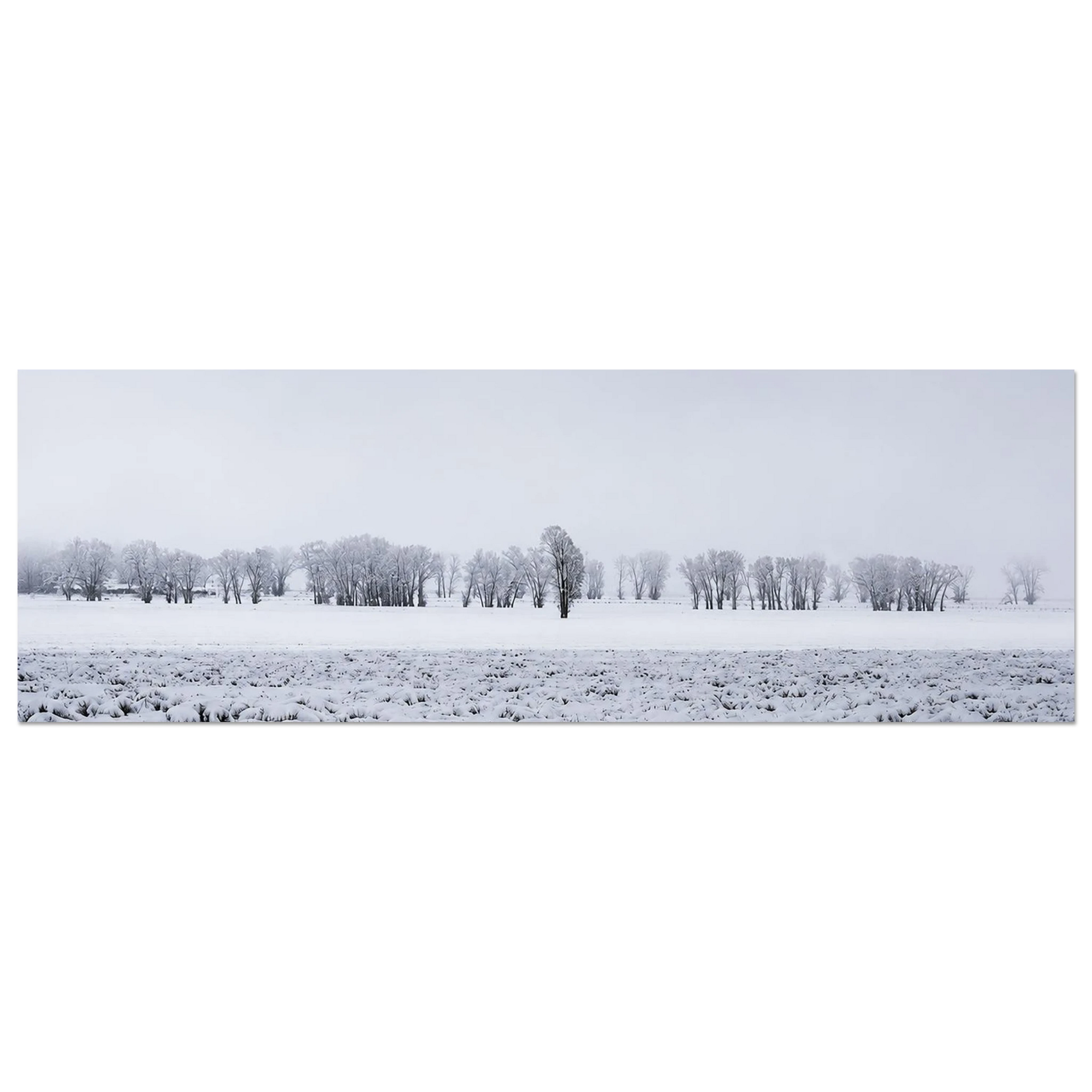 Wyoming Snowy Field by Robert Moss – Fine Art Photography Print