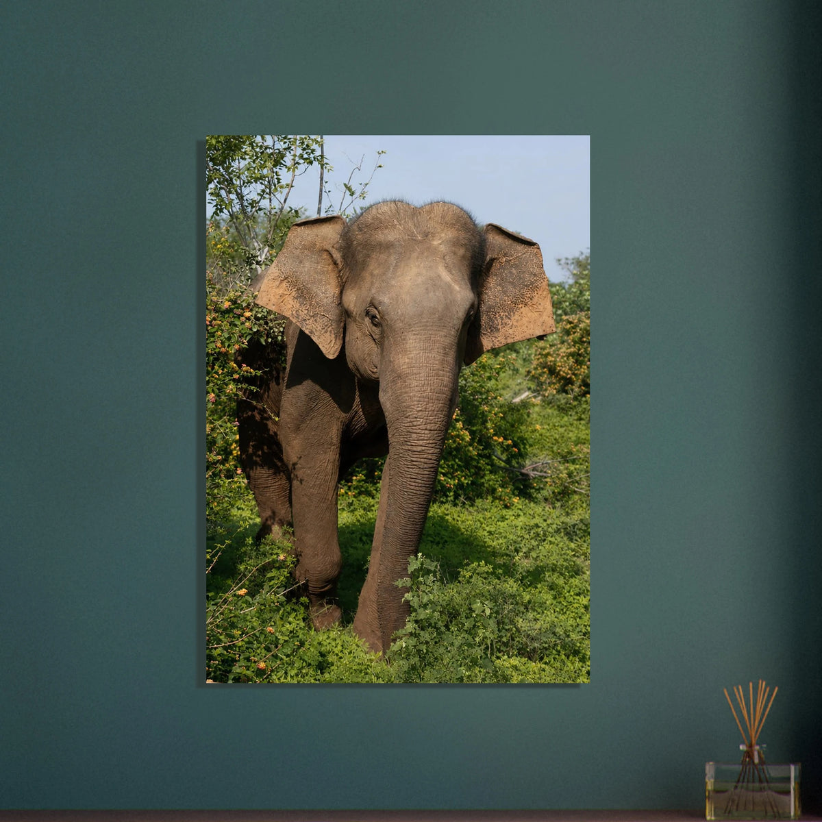 Shy Elephant in the Flowers by Robert Moss – Fine Art Photography Print