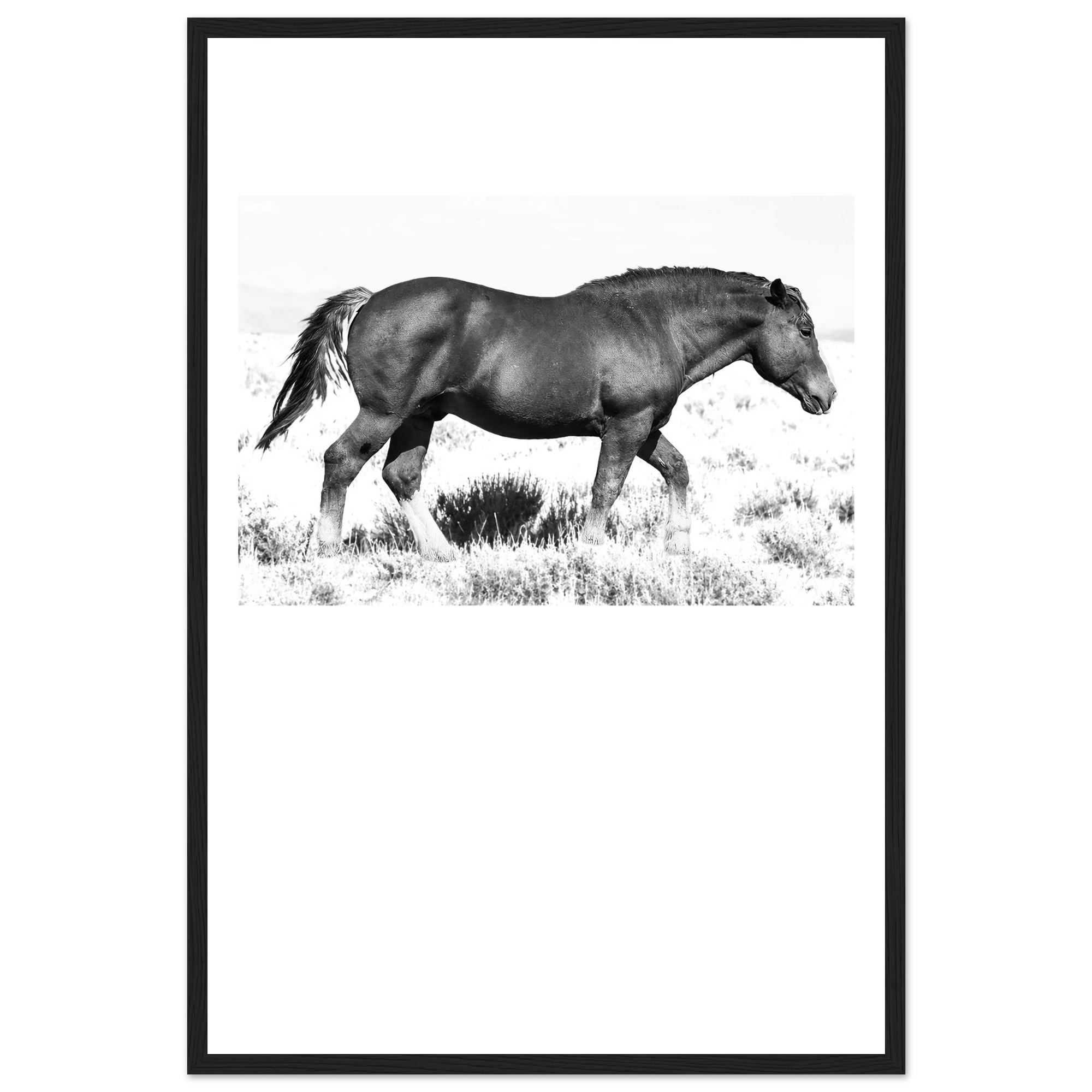 77027603-fad1-4d19-9e84-2164fd438eeb