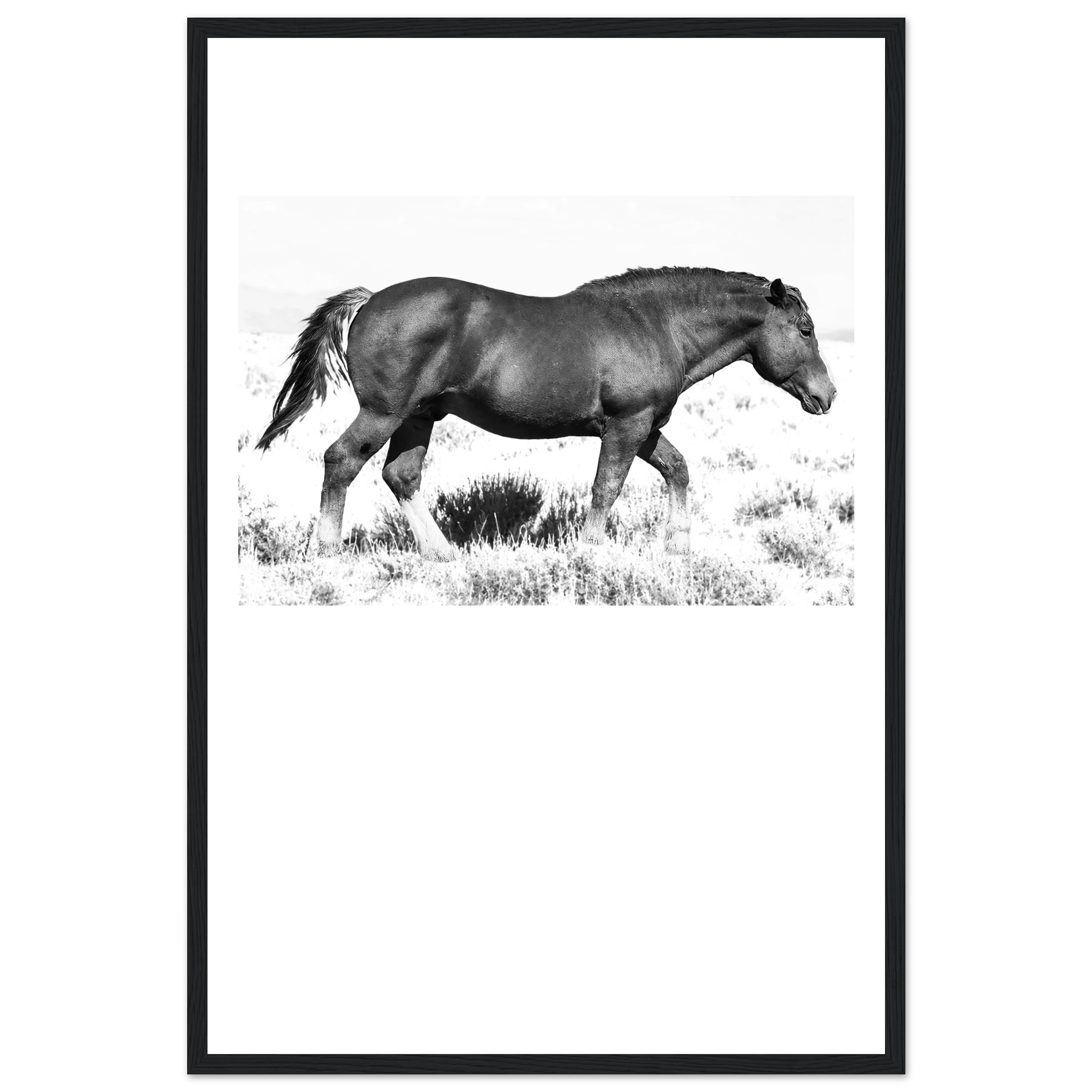 77027603-fad1-4d19-9e84-2164fd438eeb