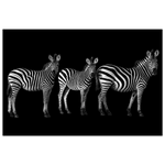 7f129501-a29d-40e4-9482-1a0a180e643d