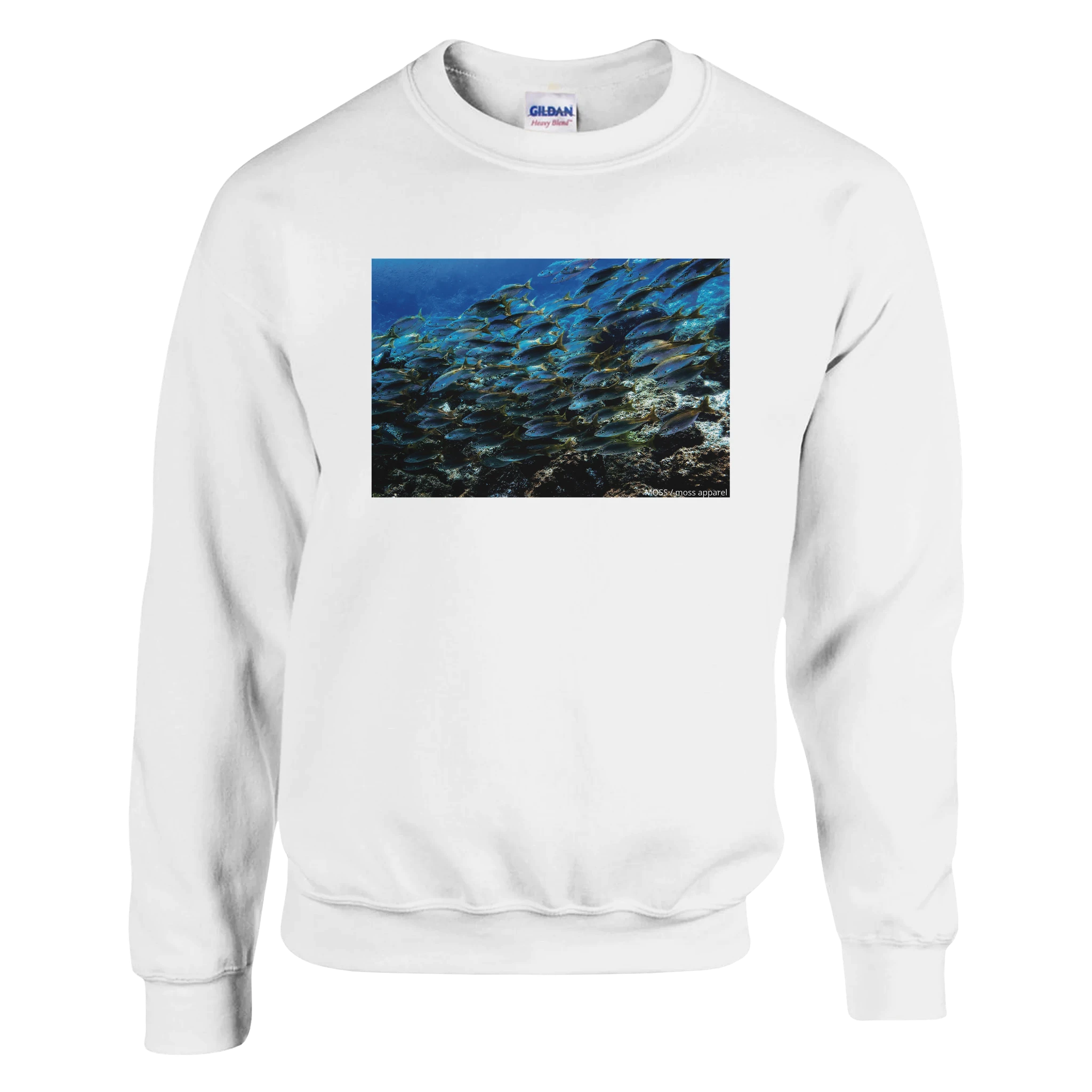 Costa Rica Marine Life Crewneck Sweatshirt - Sustainable Apparel - Moss Apparel – Wildlife Apparel by Moss Apparel