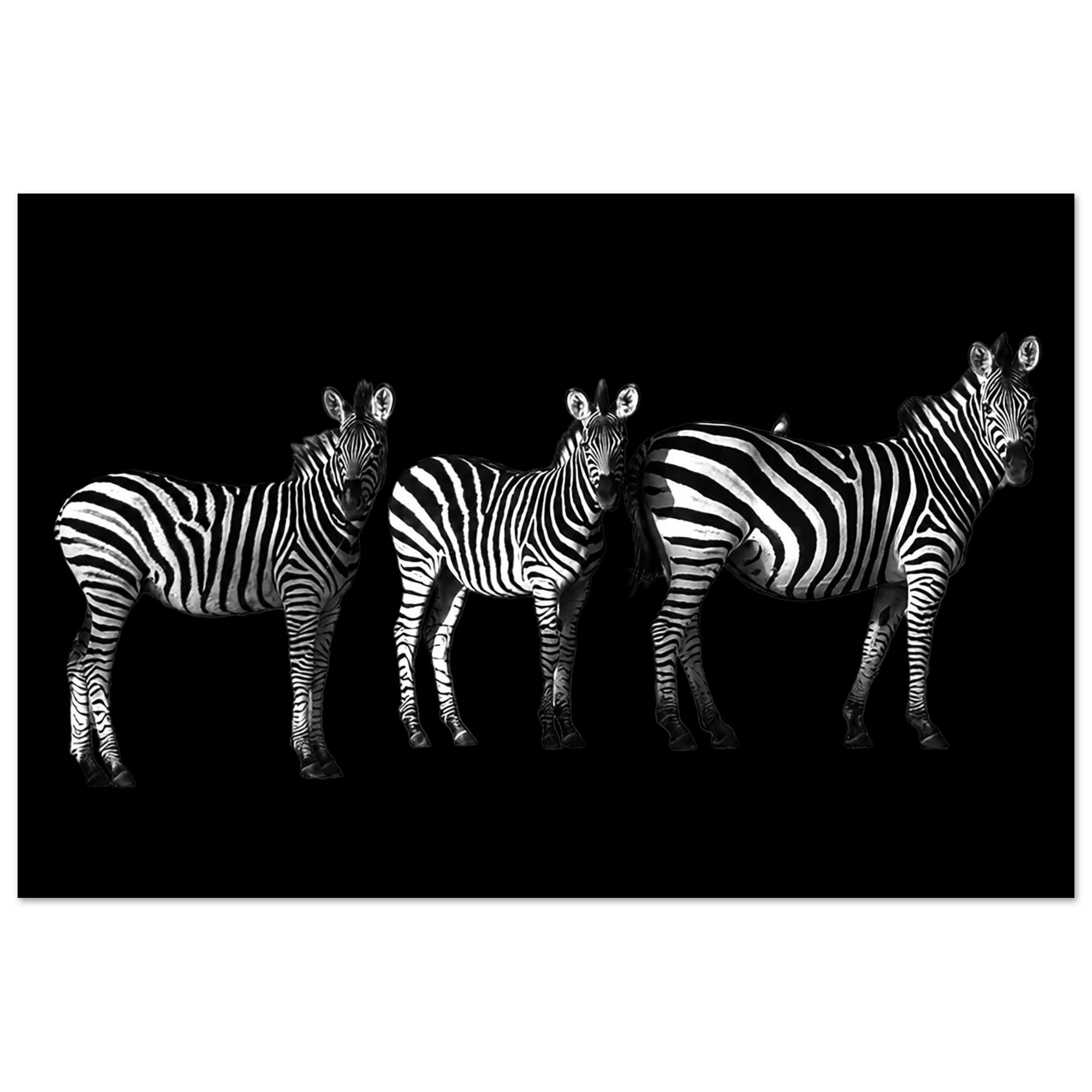 803b7610-15e0-4366-babf-cb2e0e736f41