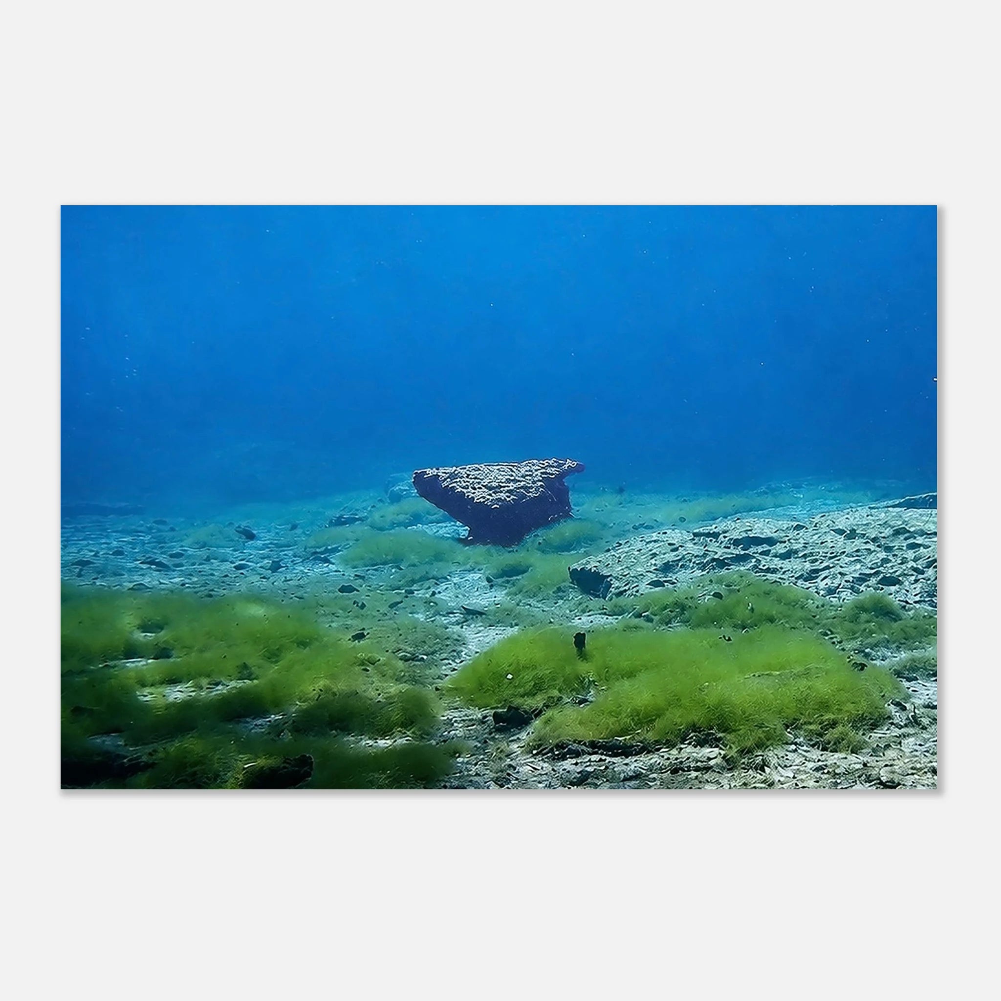 Underwater Meadow and a Sleeping Stone by Robert Moss – Fine Art Photography Print