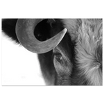 848da2e7-d08f-4ed0-be72-d04fa4c58465