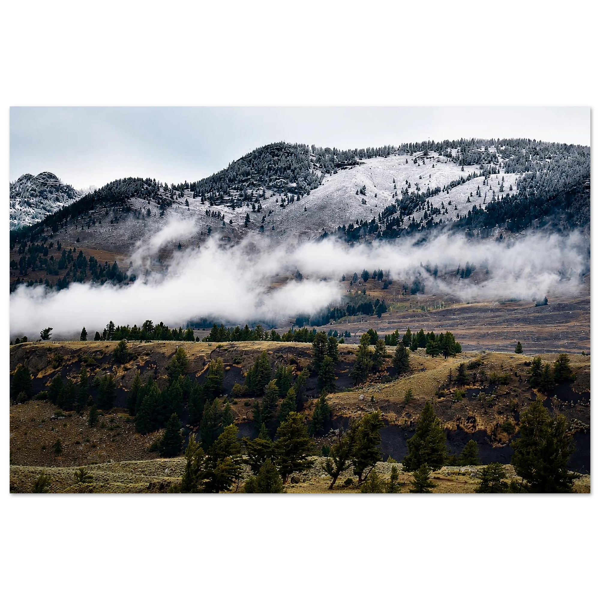 Winter is Coming by Robert Moss – Fine Art Photography Print