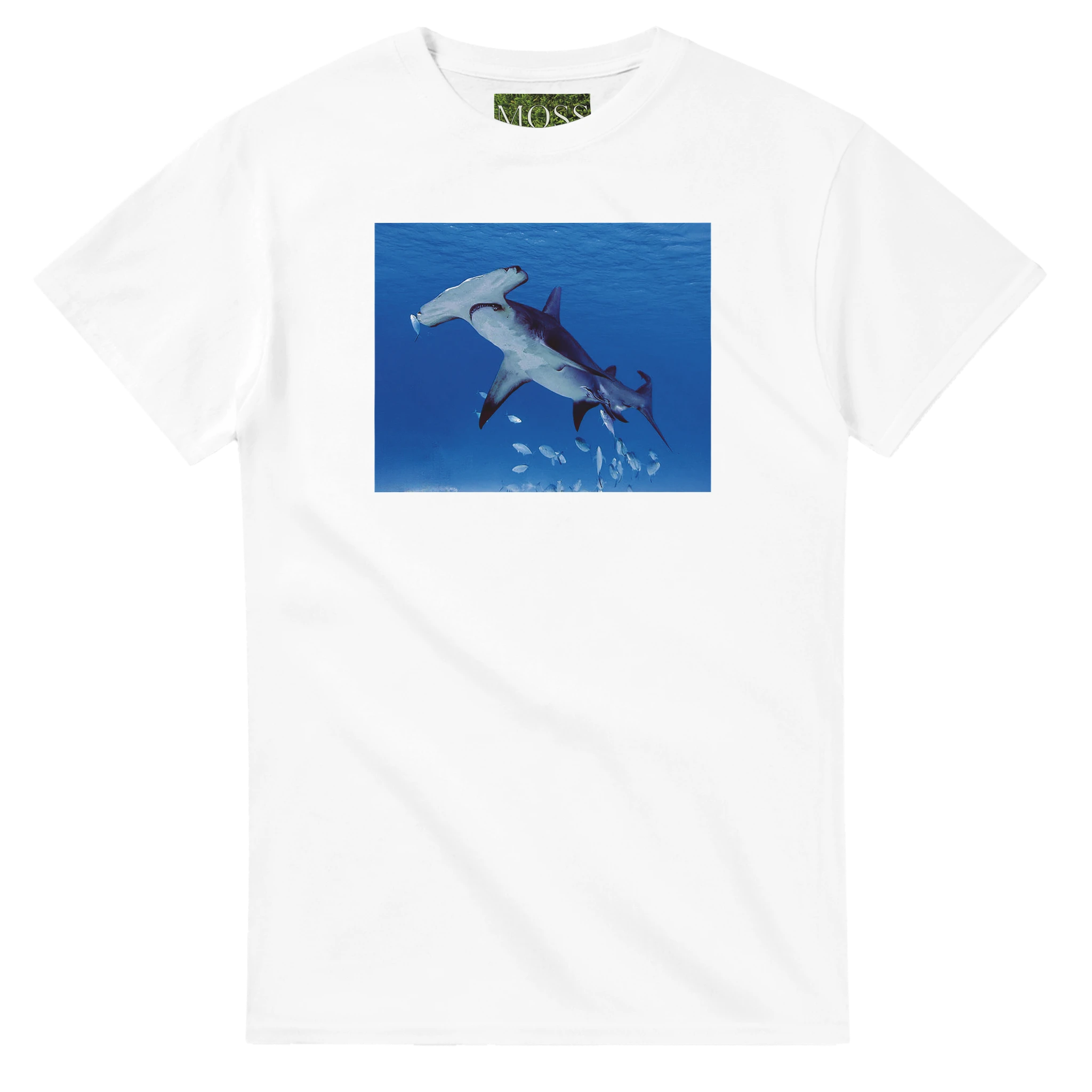 Bimini Hammerhead Shark Photography Heavyweight T-Shirt - Robert Moss Edition – Wildlife Apparel by Moss Apparel
