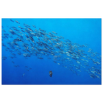a1eb932d-cc87-4549-988f-ac47cdeae707