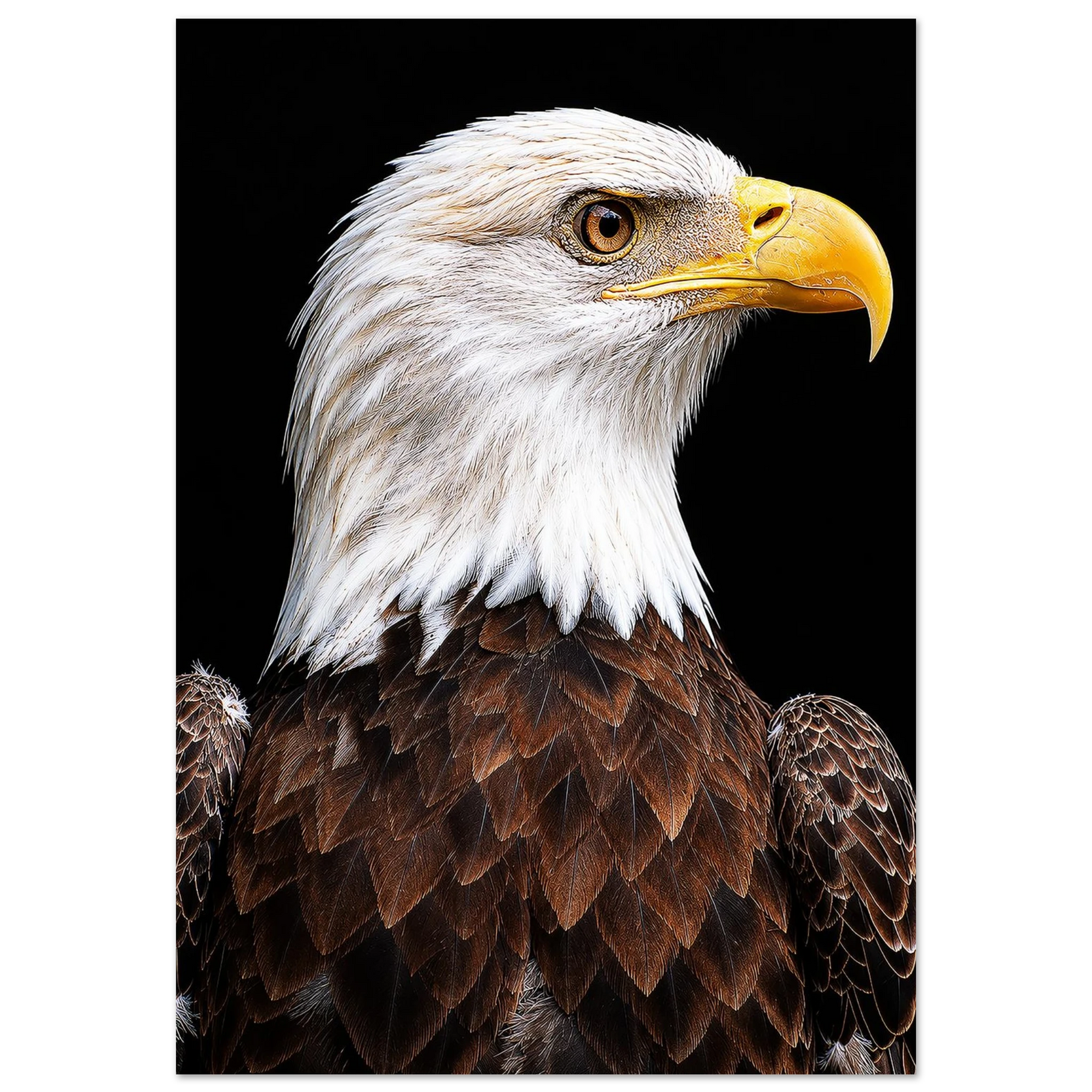 aefbc846-0b03-4e83-8eb2-964e957a5a47