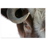 b54abfe5-6864-4309-8dc8-f74b5065041b