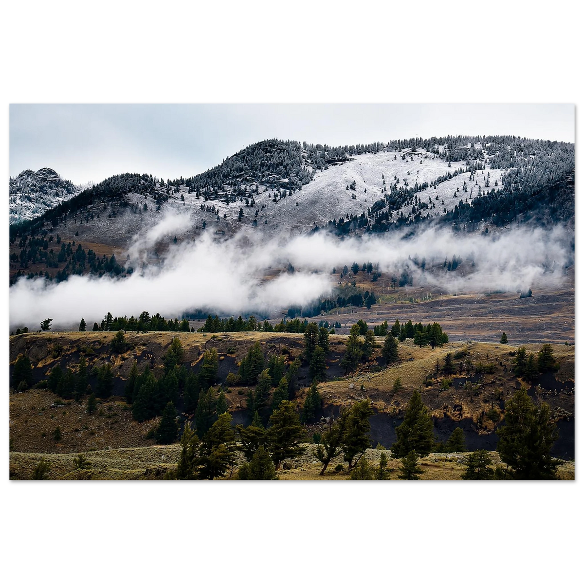 Winter is Coming by Robert Moss – Fine Art Photography Print