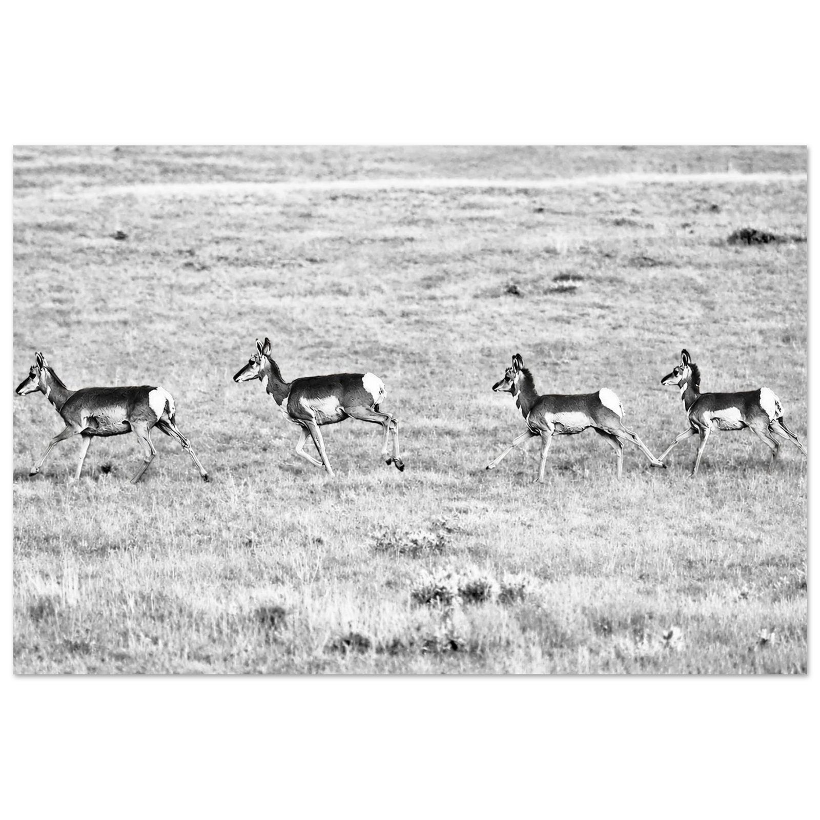 bc76c51a-3197-482b-865a-663400509a58