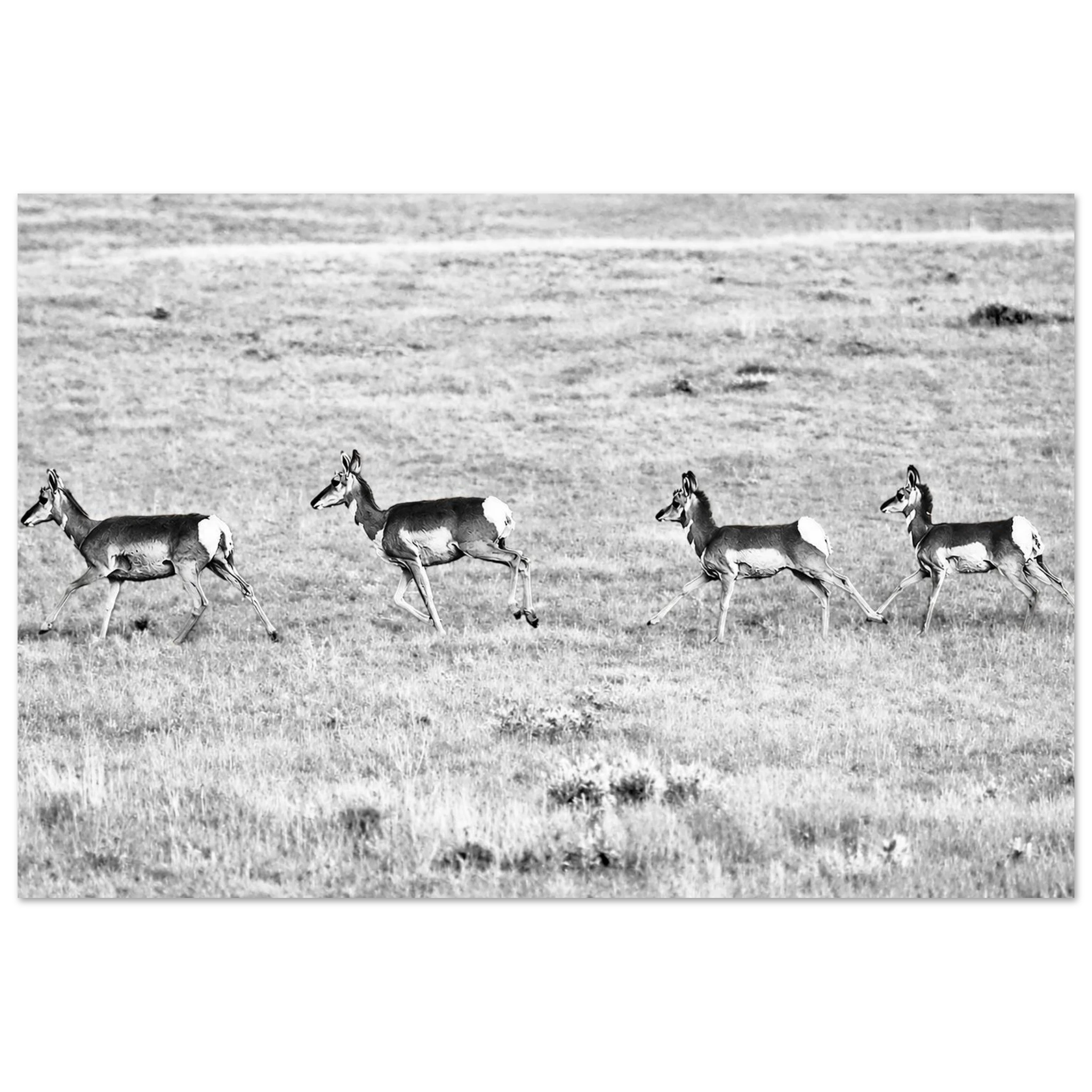 bc76c51a-3197-482b-865a-663400509a58