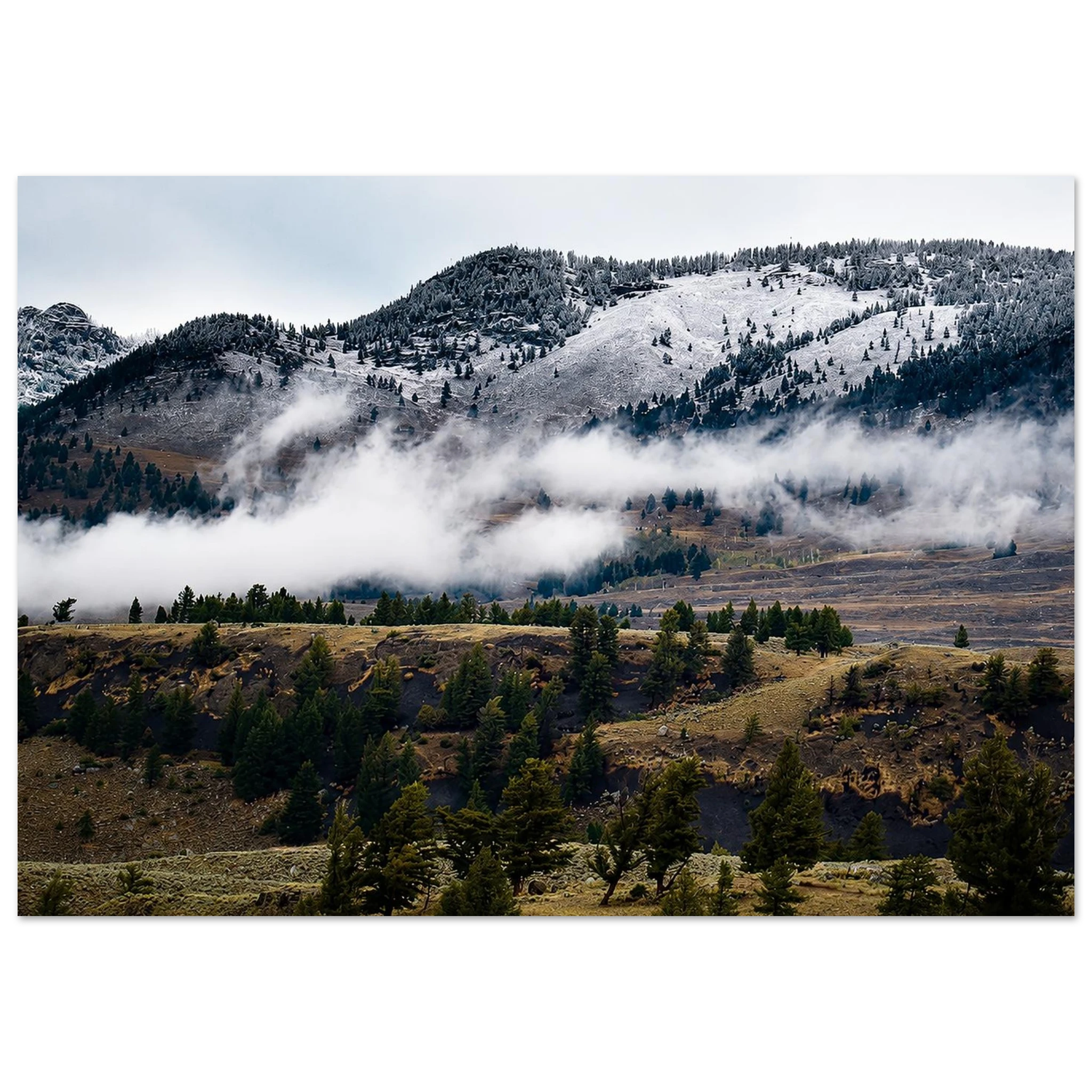 Winter is Coming Aluminum Print by Robert Moss – Fine Art Photography Print