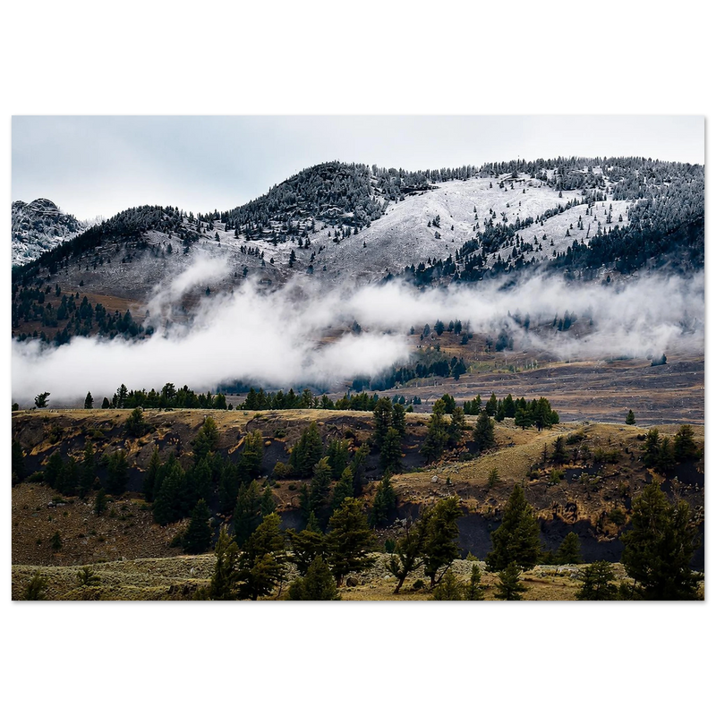 Winter is Coming Aluminum Print by Robert Moss – Fine Art Photography Print