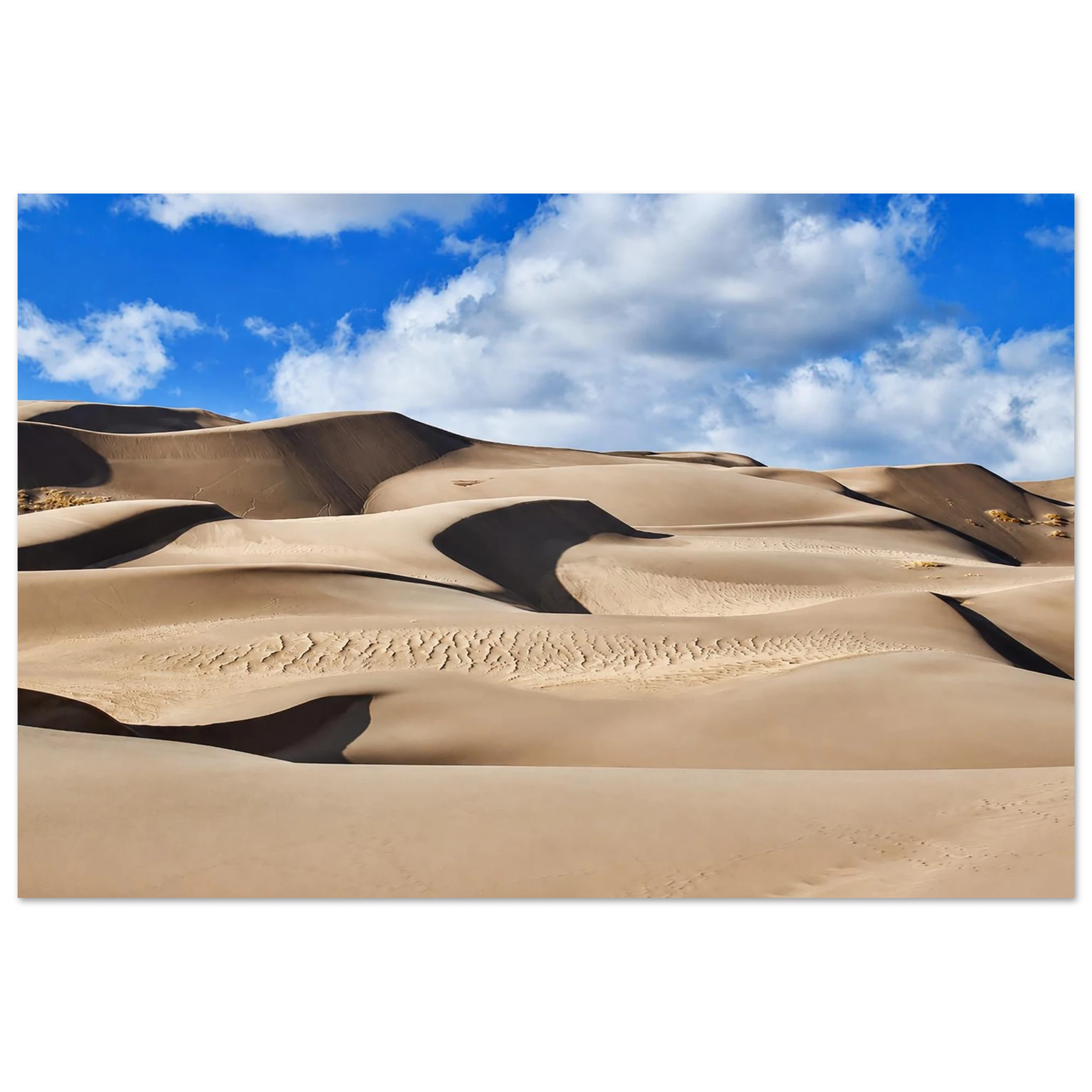 cb25809e-ad30-42b4-87eb-6908de8f3741
