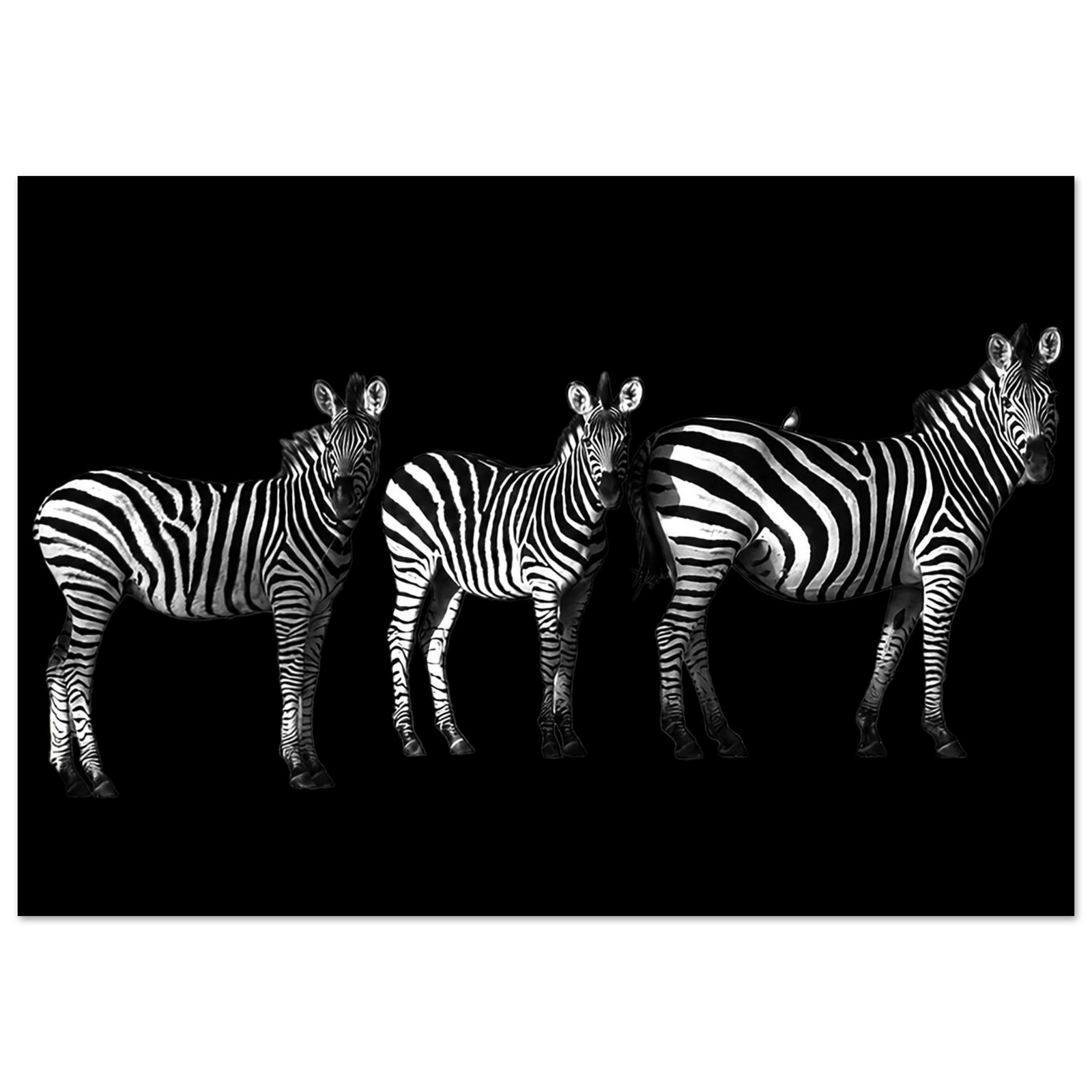 e2933ee4-34bb-47a9-9b7d-5ca015a5294d