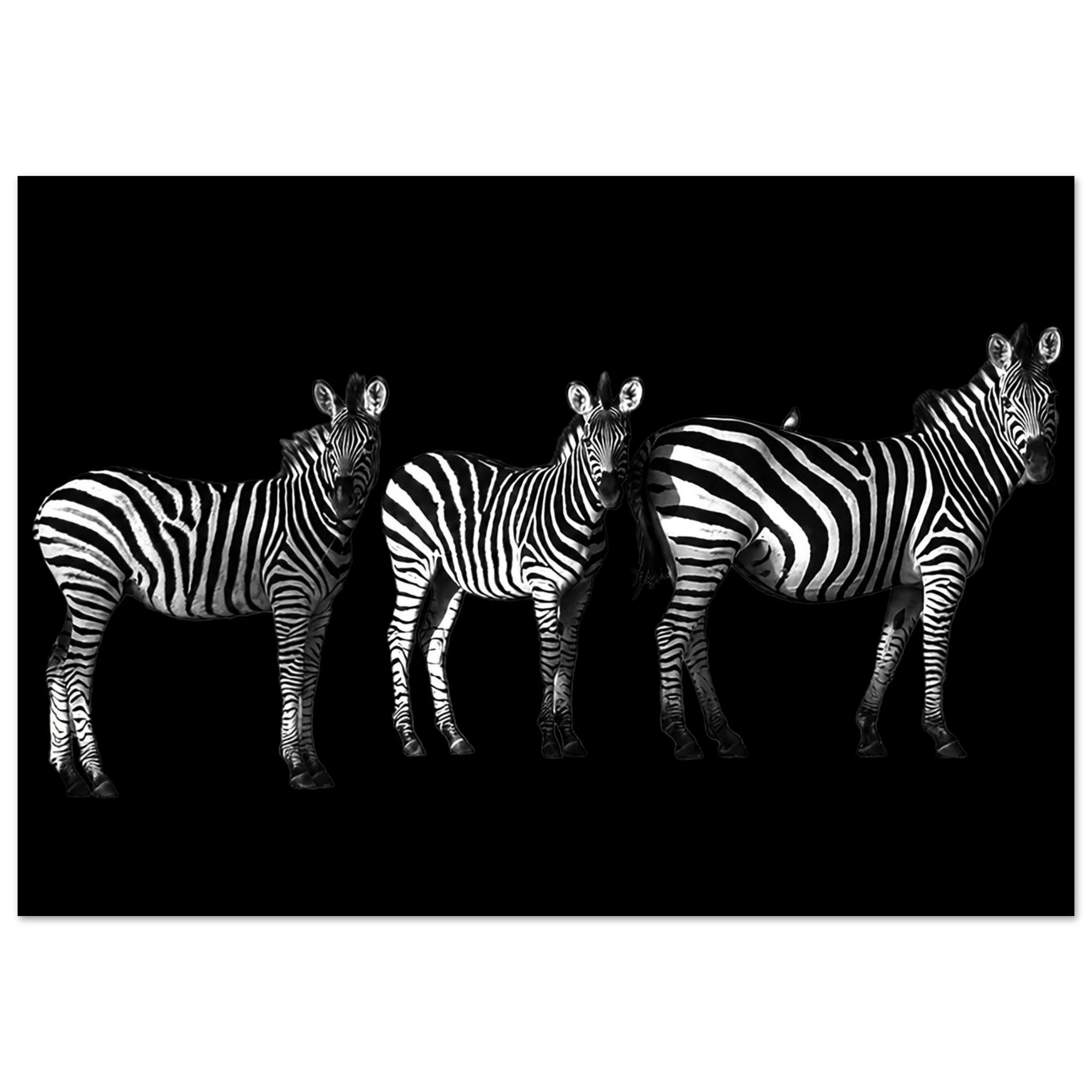 e2933ee4-34bb-47a9-9b7d-5ca015a5294d