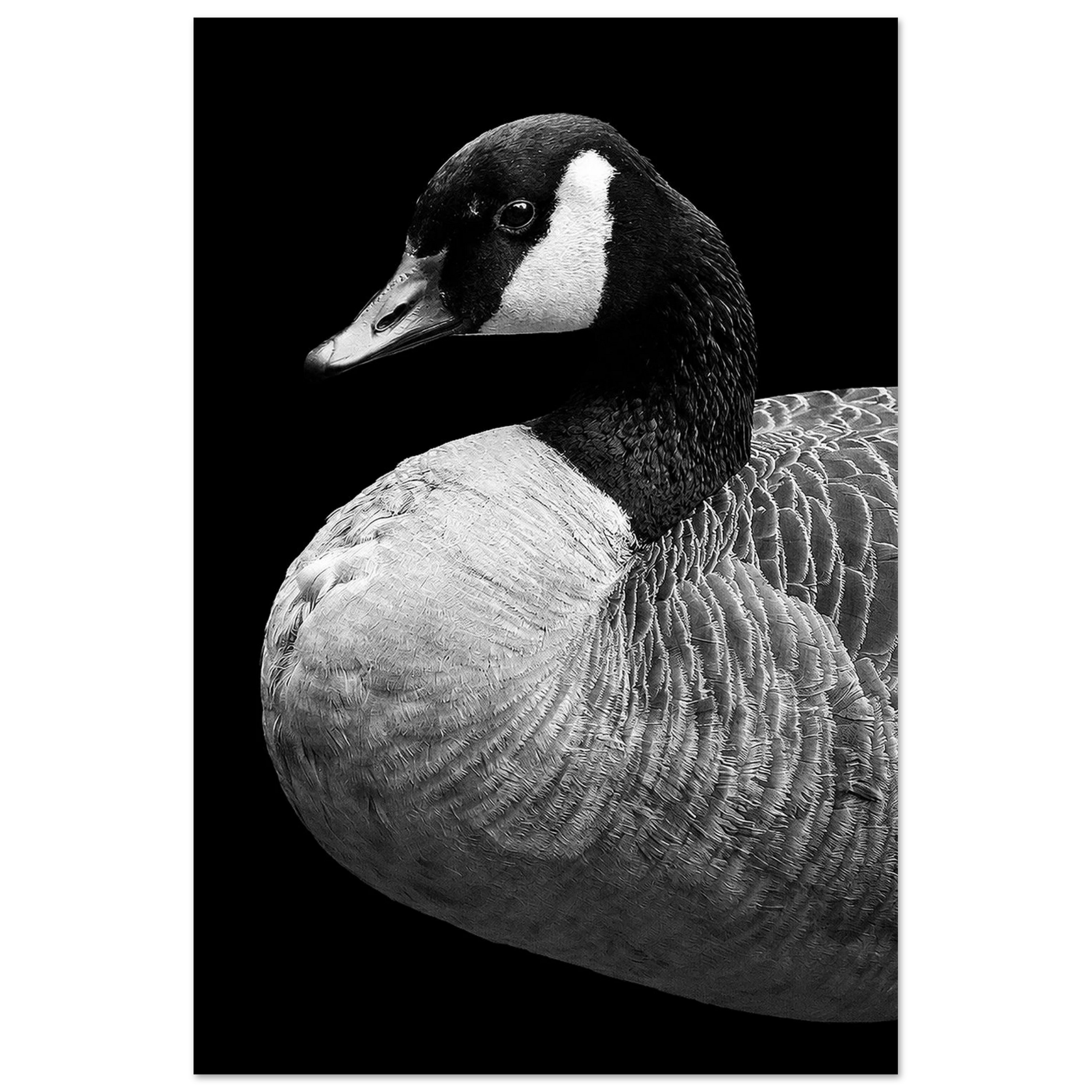 e41b61b1-d63a-4184-82b7-a04dae677892