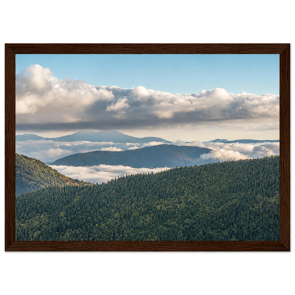 Vermont Mountain Morning by Robert Moss – Fine Art Photography Print