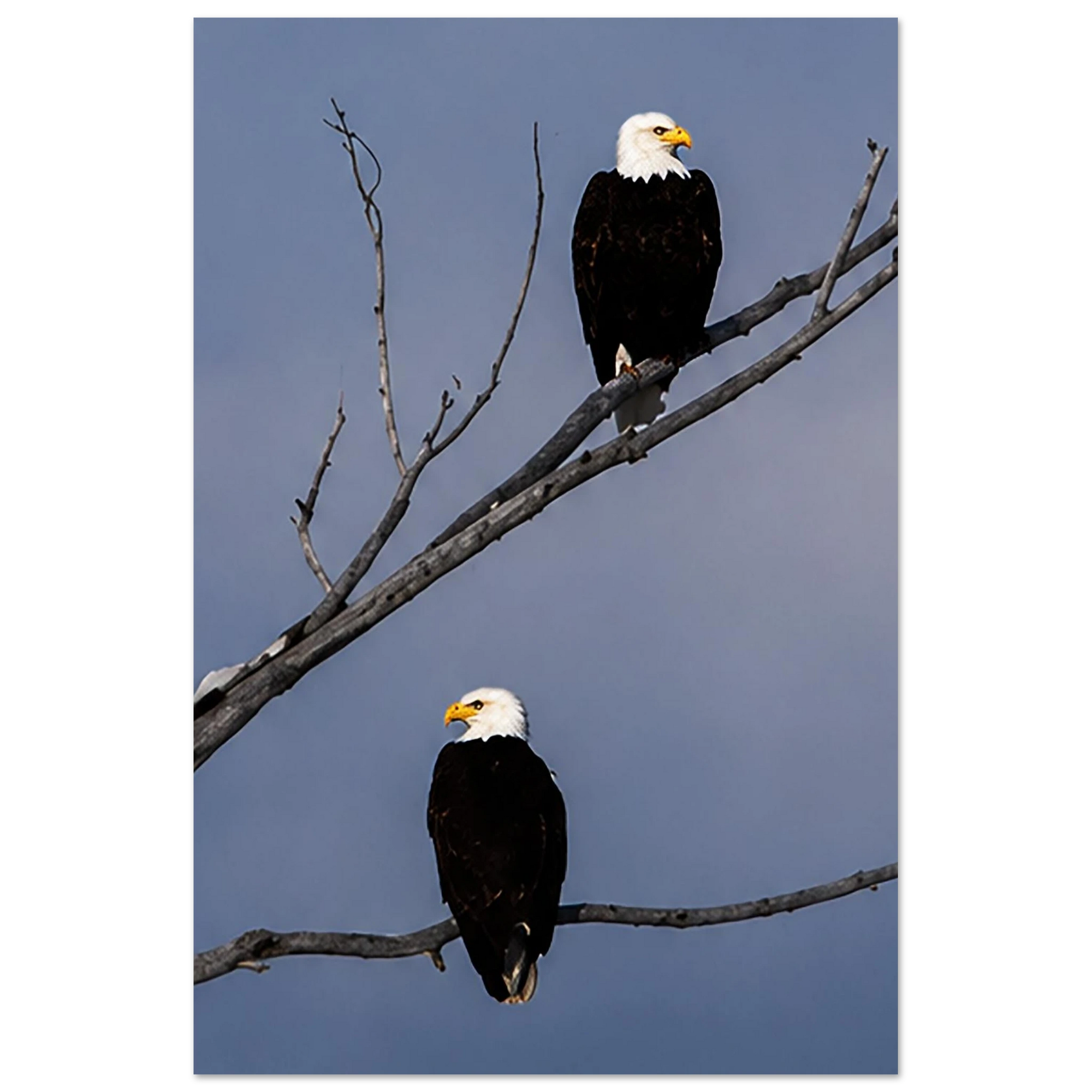 f69e1bf8-d022-4e23-b668-6307ef4f8620