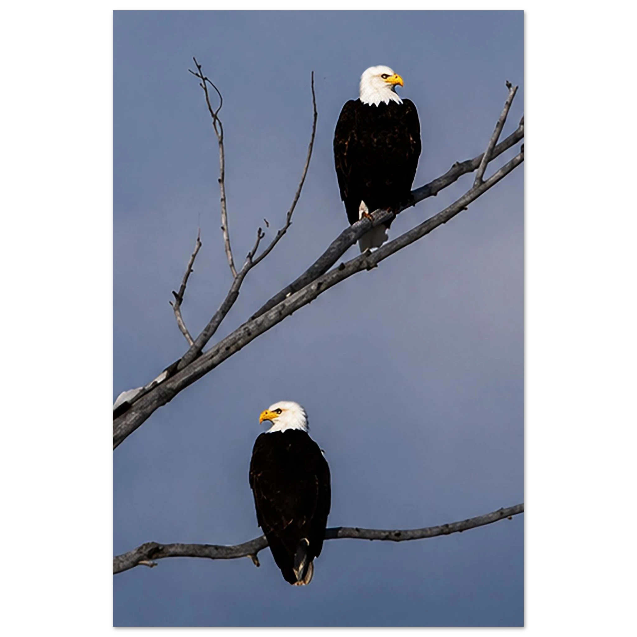 f69e1bf8-d022-4e23-b668-6307ef4f8620